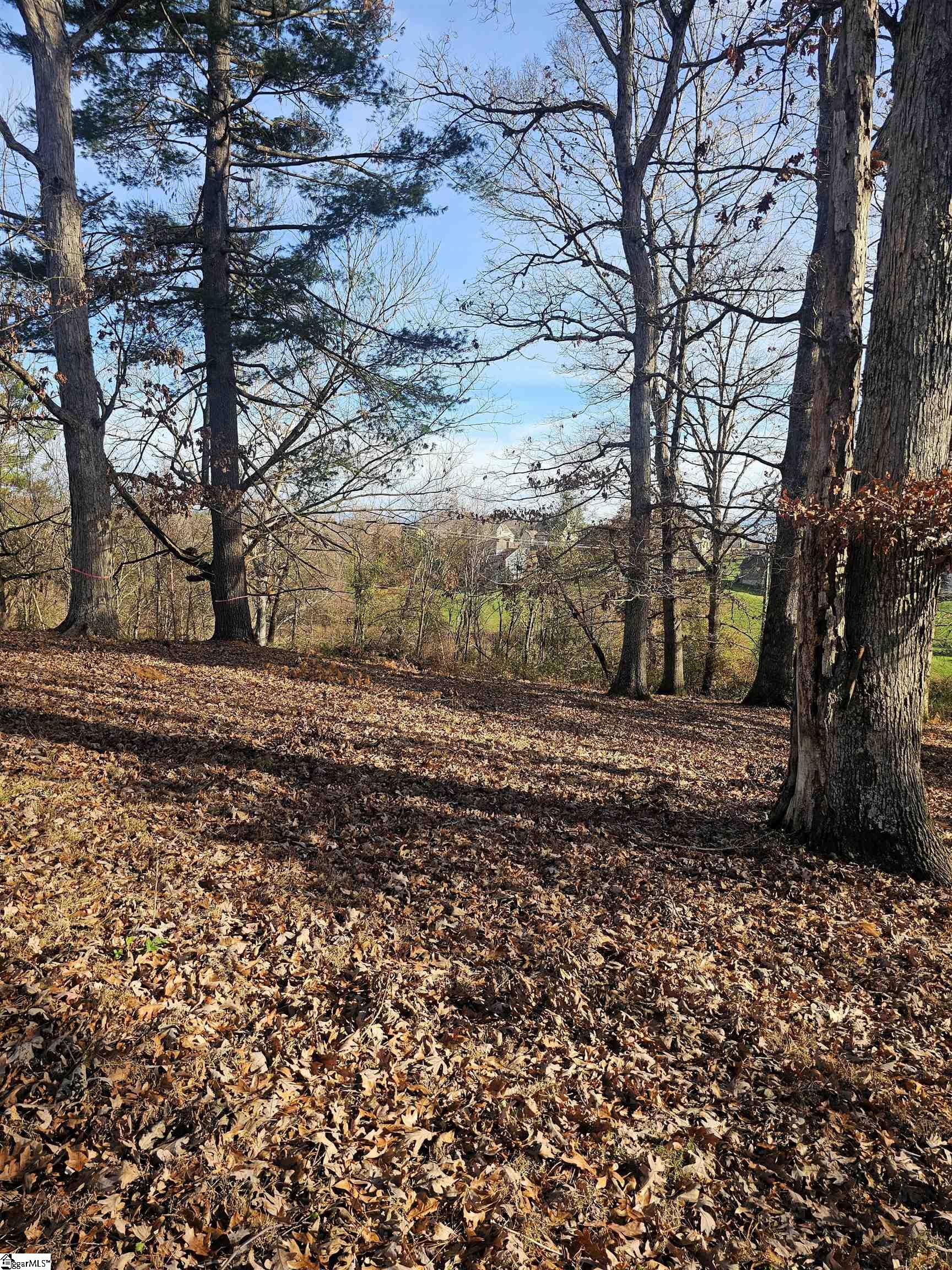 184 Majestic Ridge, Mills River, North Carolina image 12