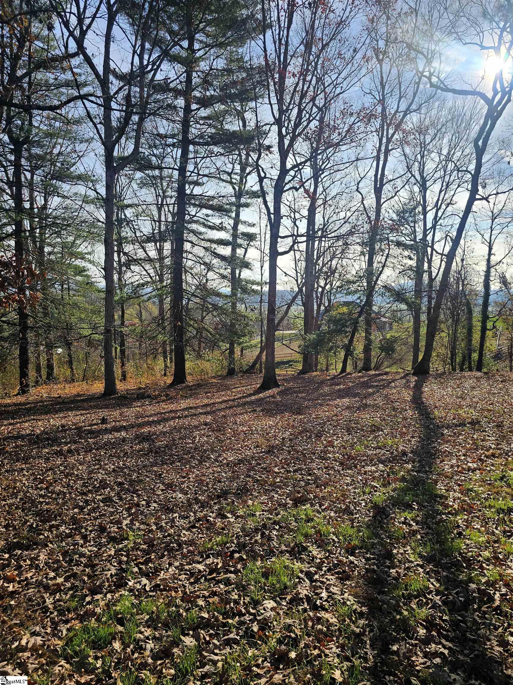 184 Majestic Ridge, Mills River, North Carolina image 13