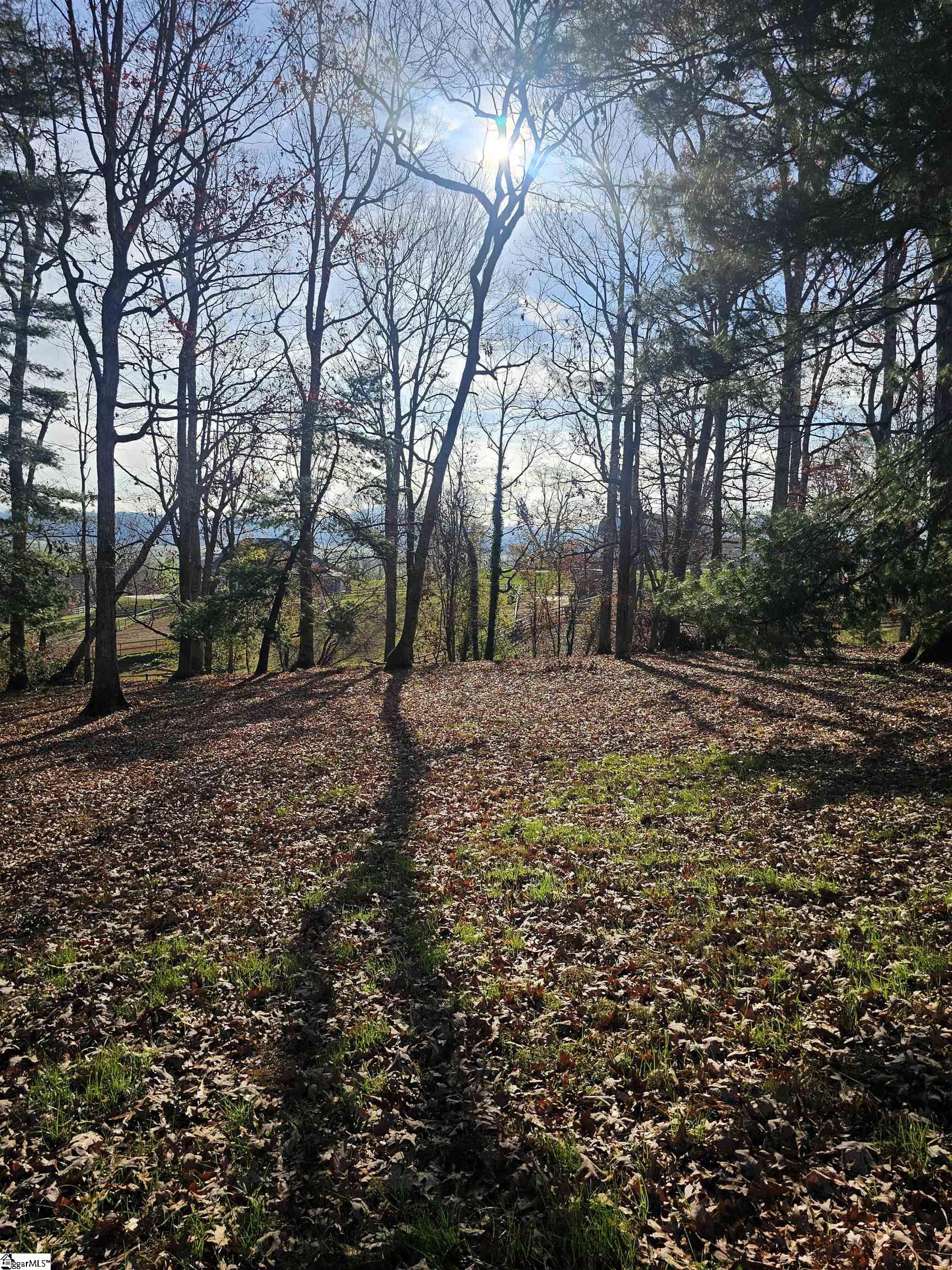 184 Majestic Ridge, Mills River, North Carolina image 14