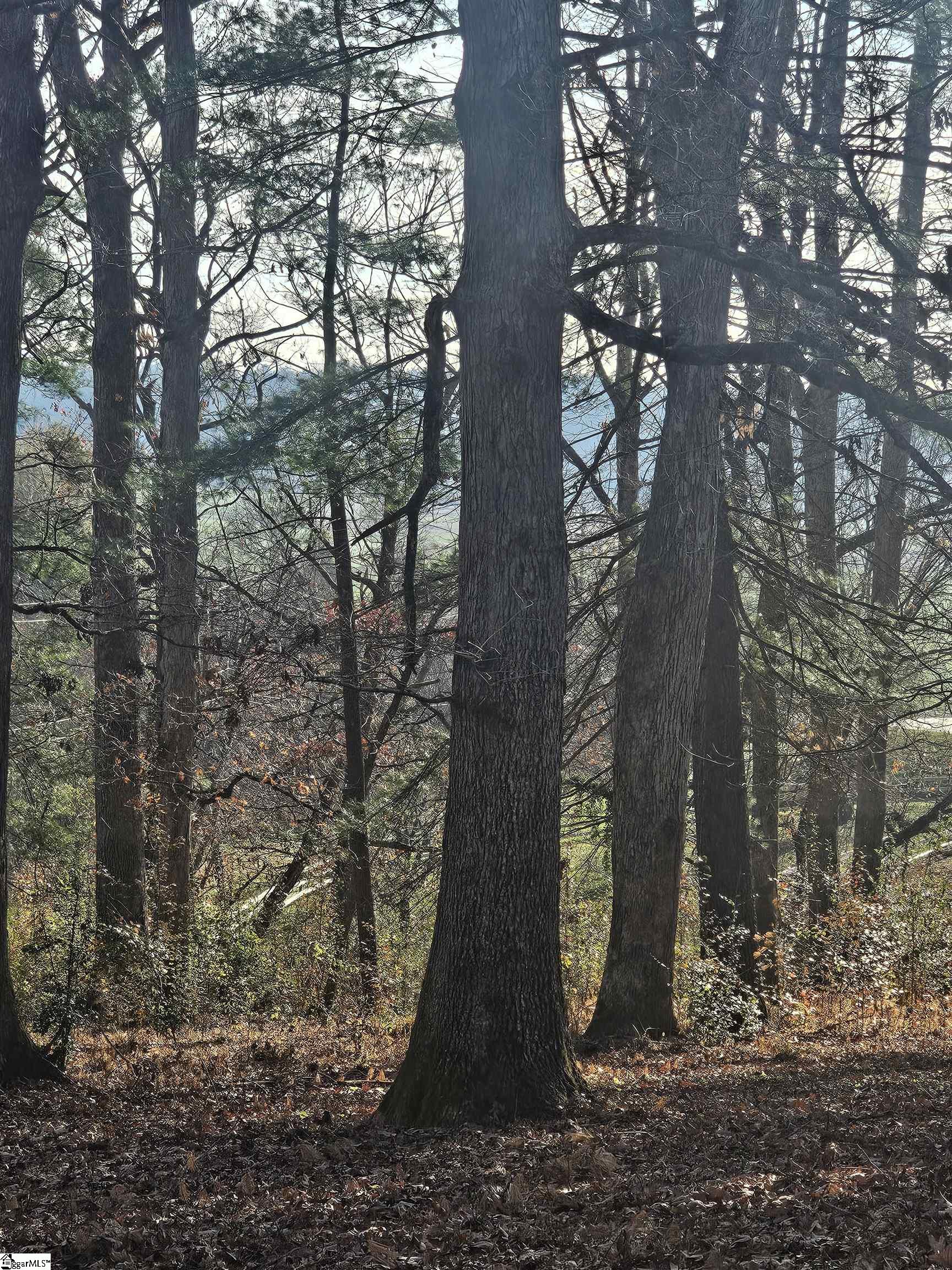184 Majestic Ridge, Mills River, North Carolina image 6