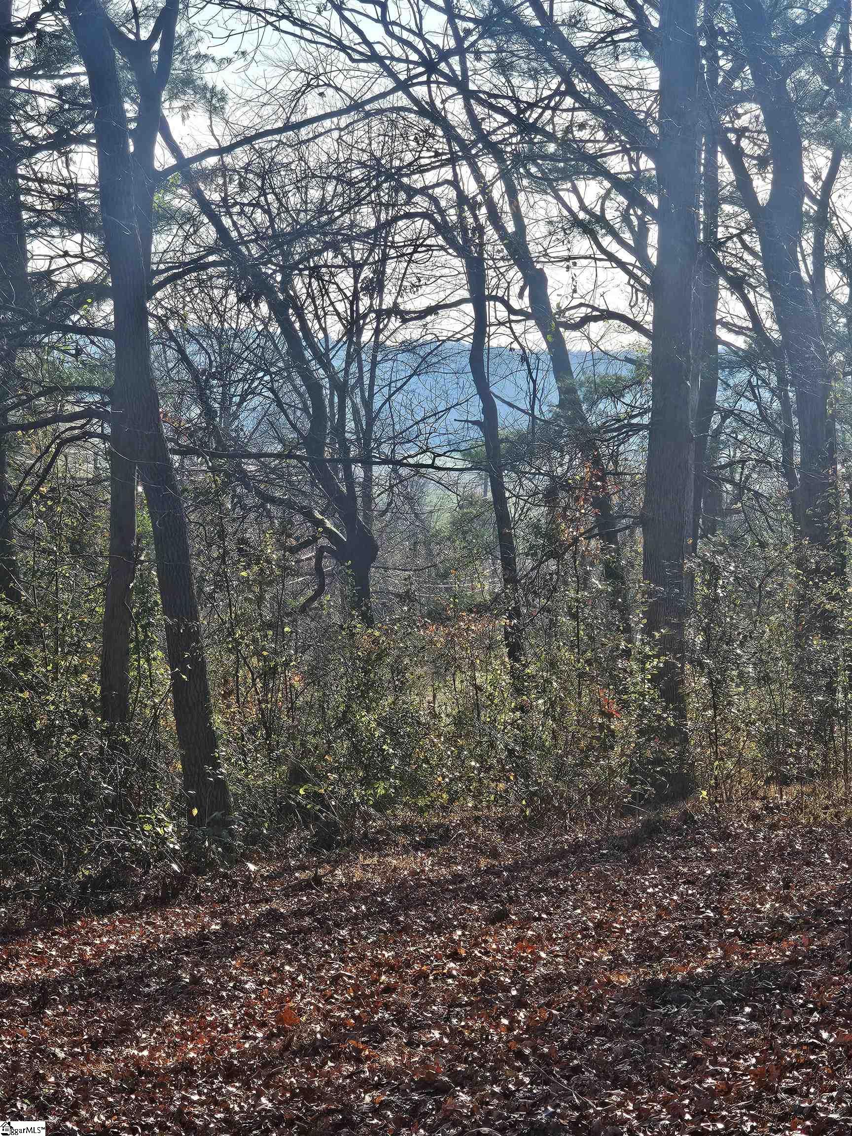 184 Majestic Ridge, Mills River, North Carolina image 7