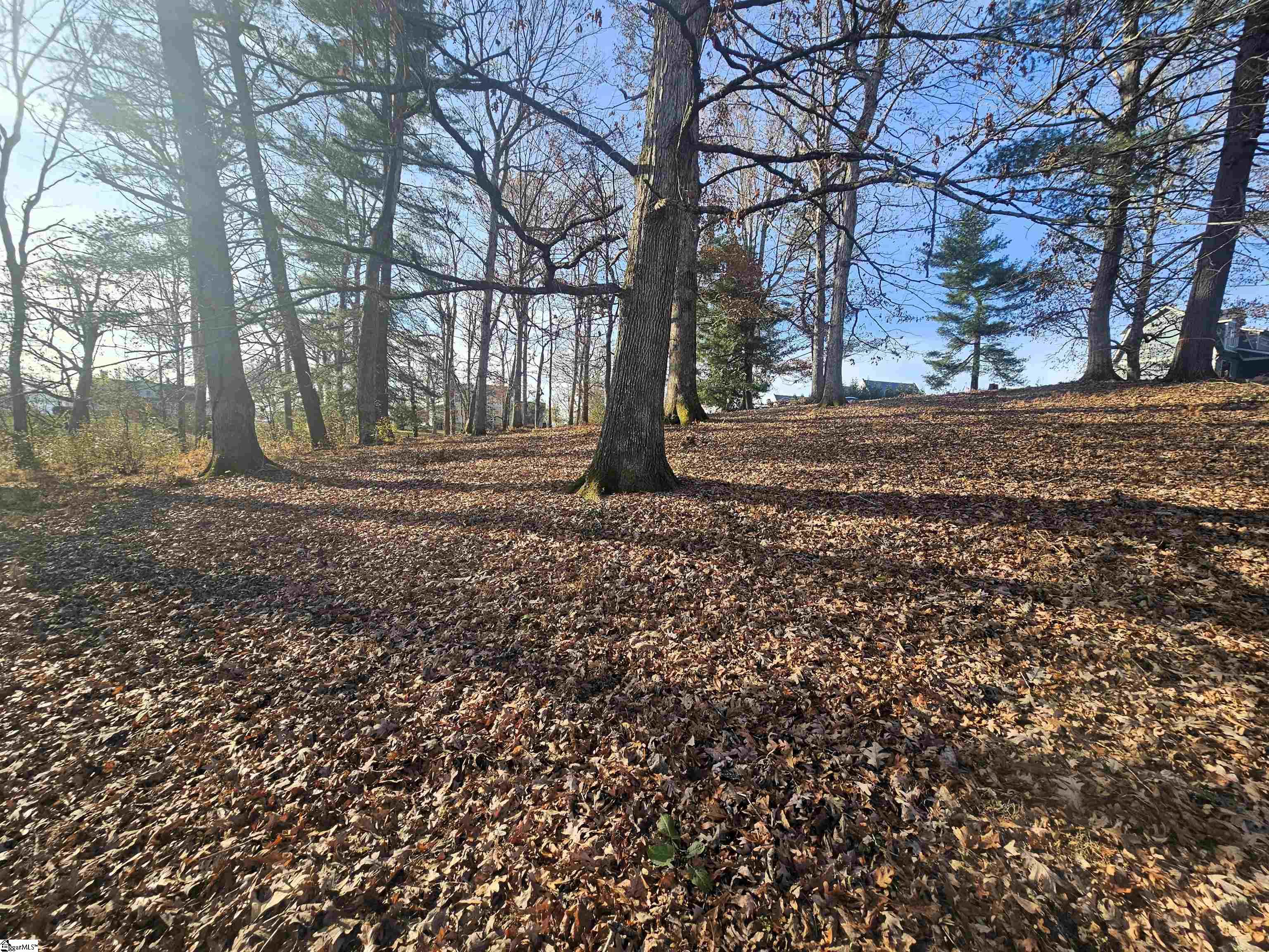 184 Majestic Ridge, Mills River, North Carolina image 8