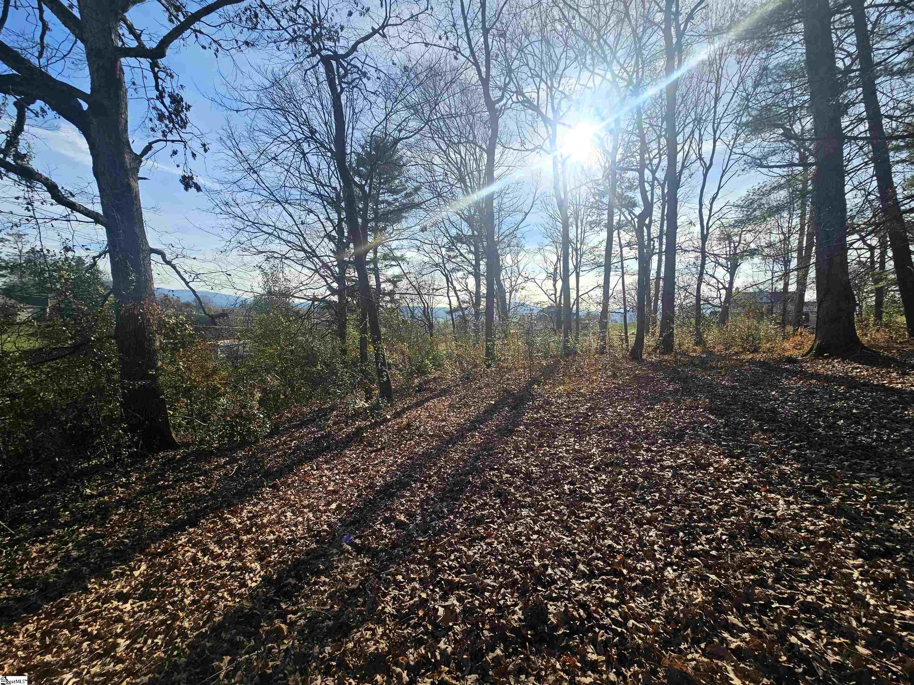 184 Majestic Ridge, Mills River, North Carolina image 9