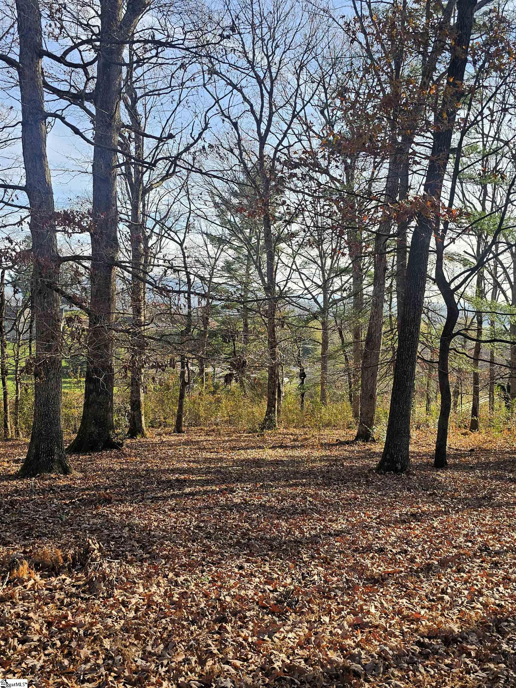 184 Majestic Ridge, Mills River, North Carolina image 10
