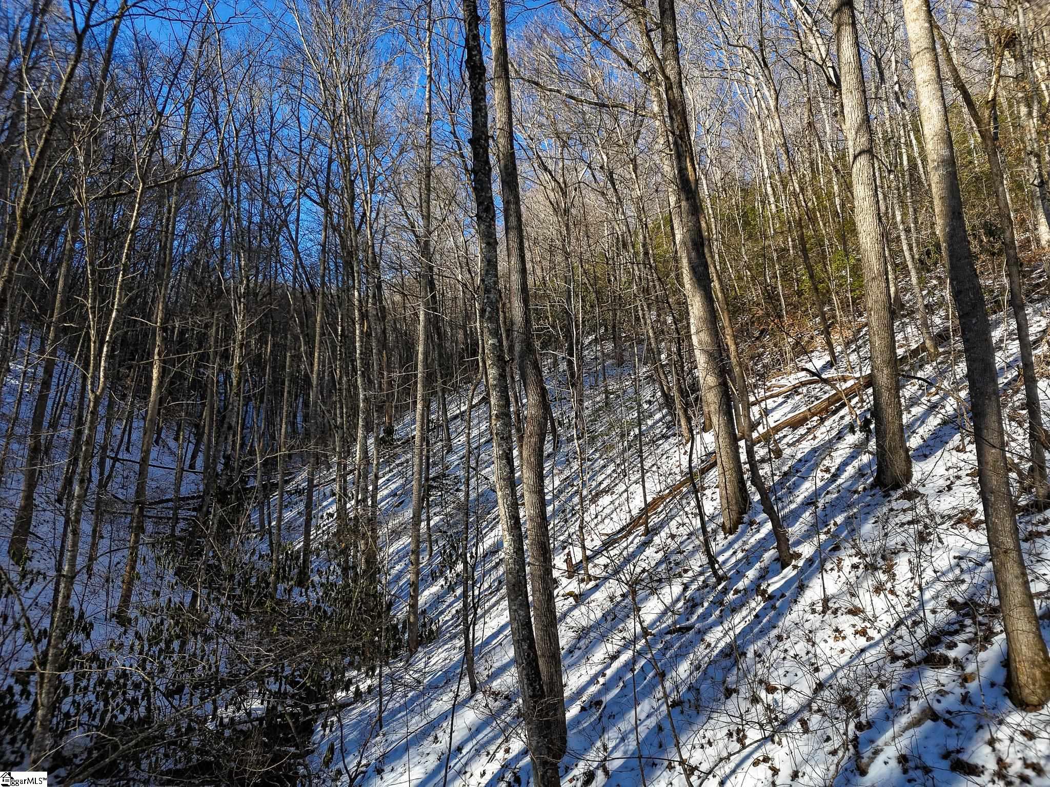 00 Bettys Creek, Franklin, North Carolina image 25