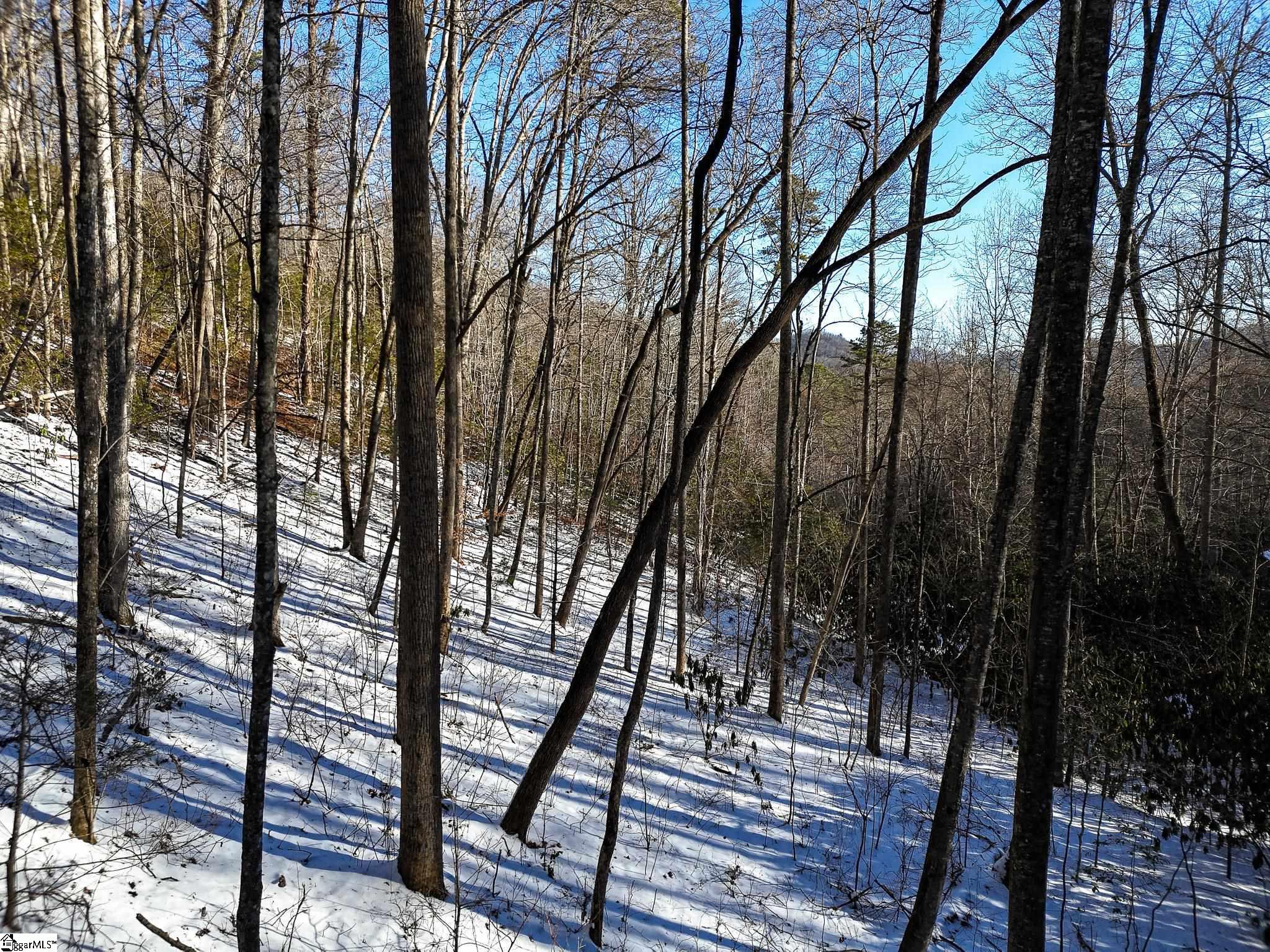 00 Bettys Creek, Franklin, North Carolina image 26