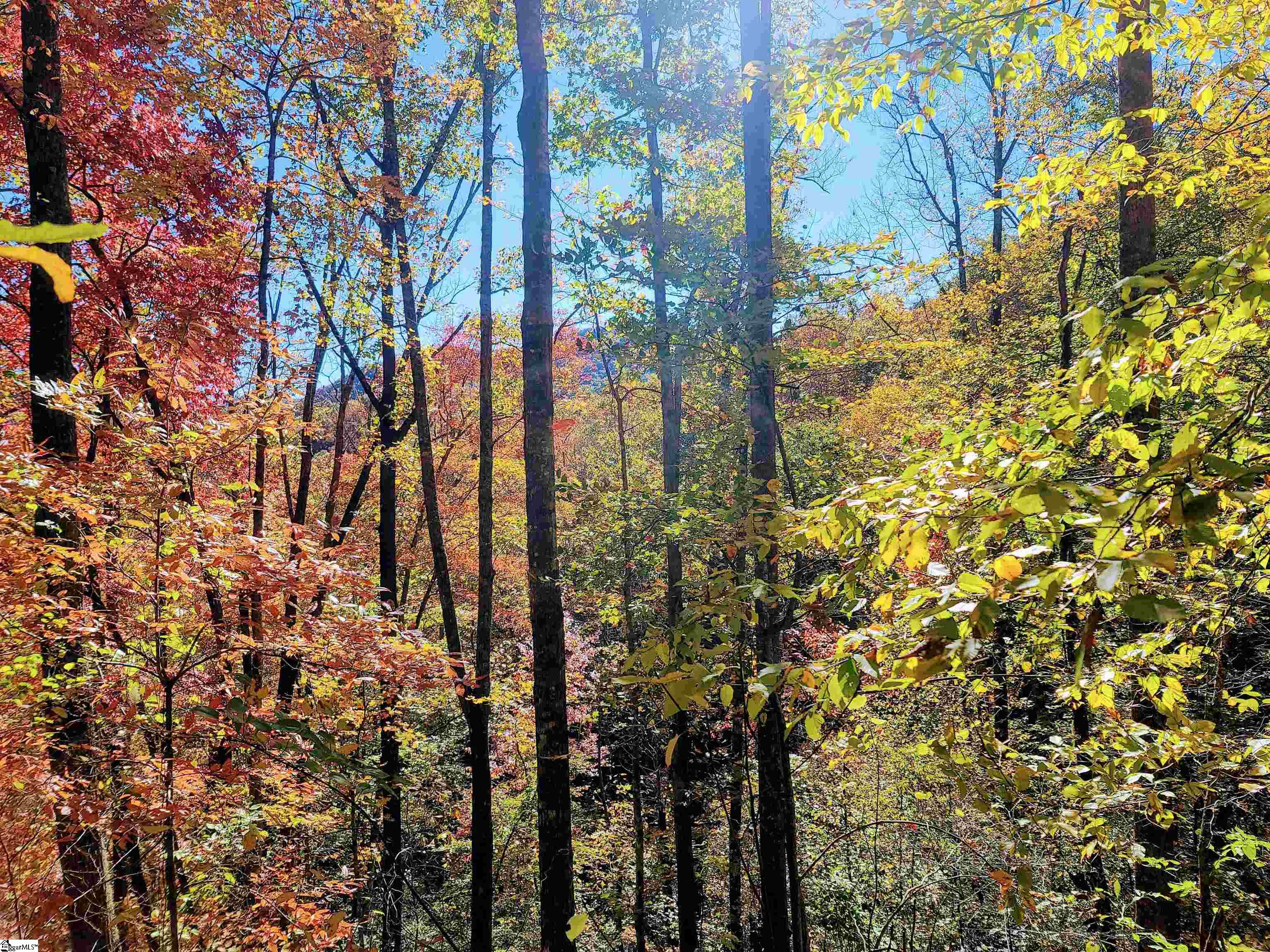 00 Bettys Creek, Franklin, North Carolina image 8