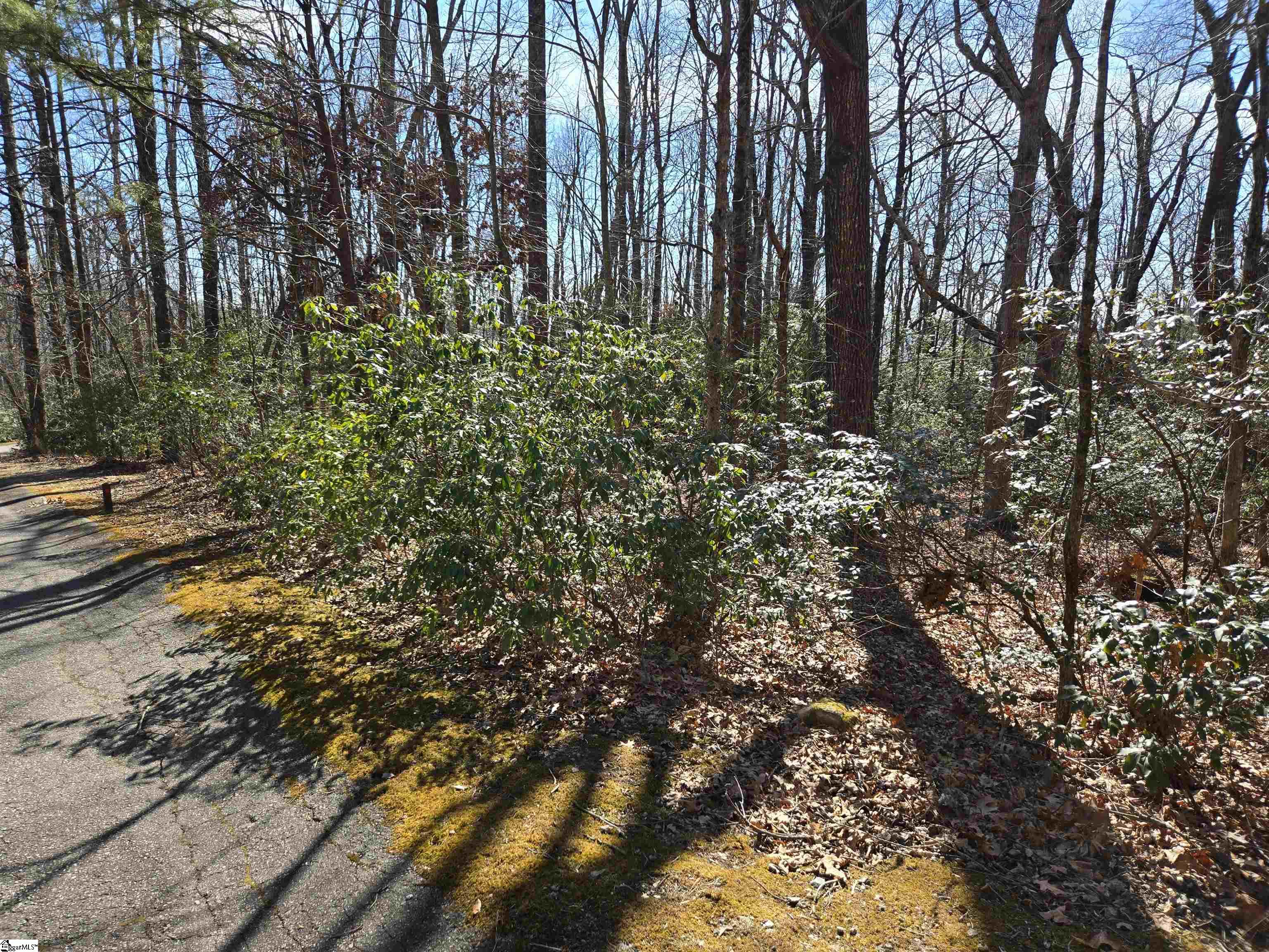 120 Birchbend, Cleveland, South Carolina image 2