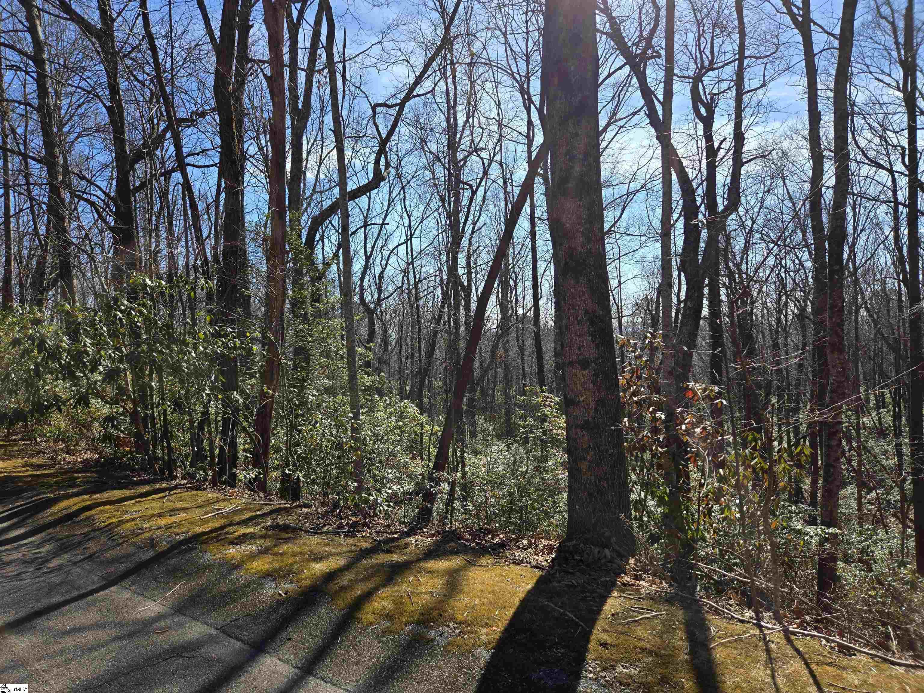 112 Birchbend, Cleveland, South Carolina image 2
