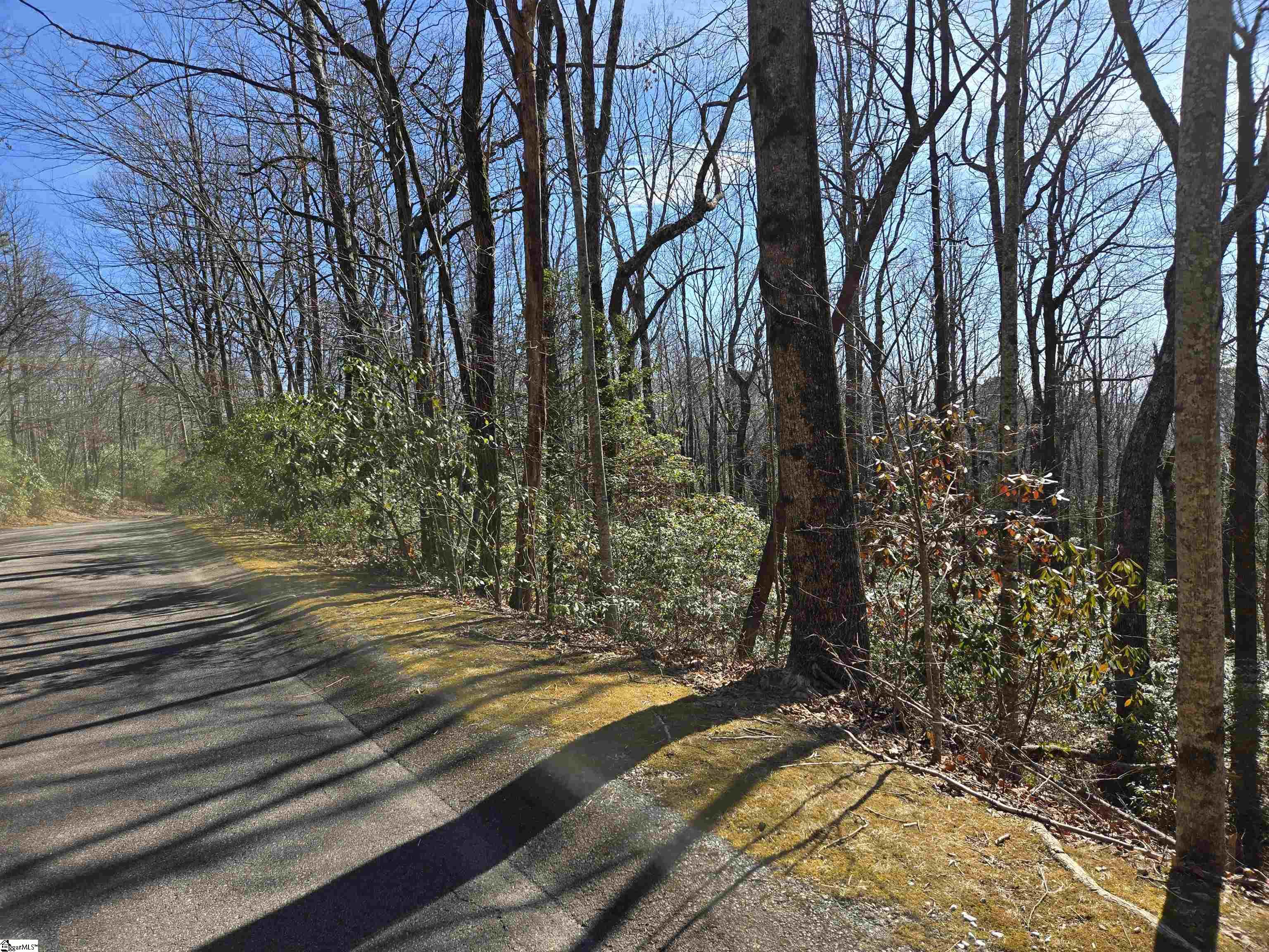 112 Birchbend, Cleveland, South Carolina image 3