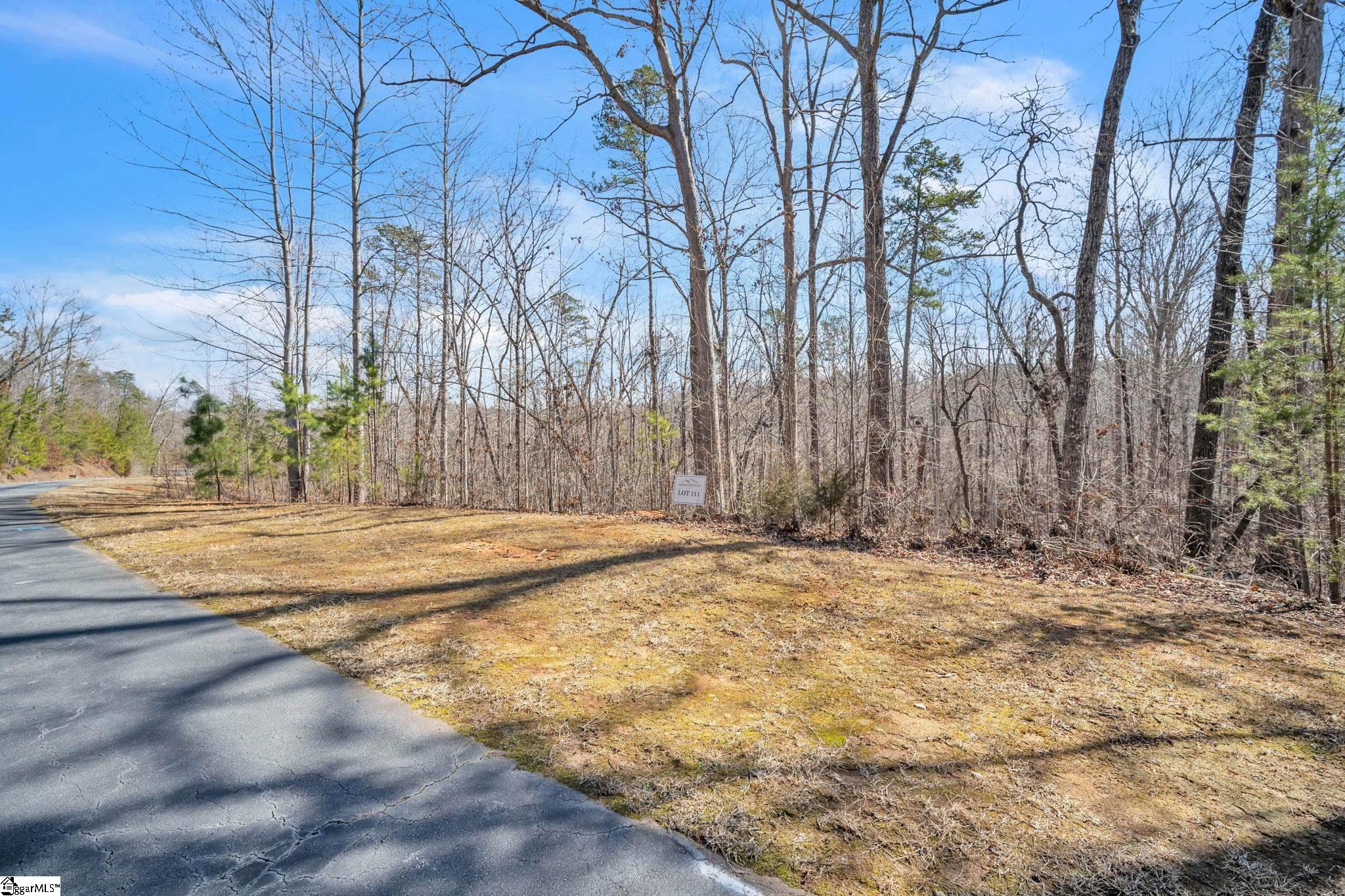 110 Gabriel, Pickens, South Carolina image 1
