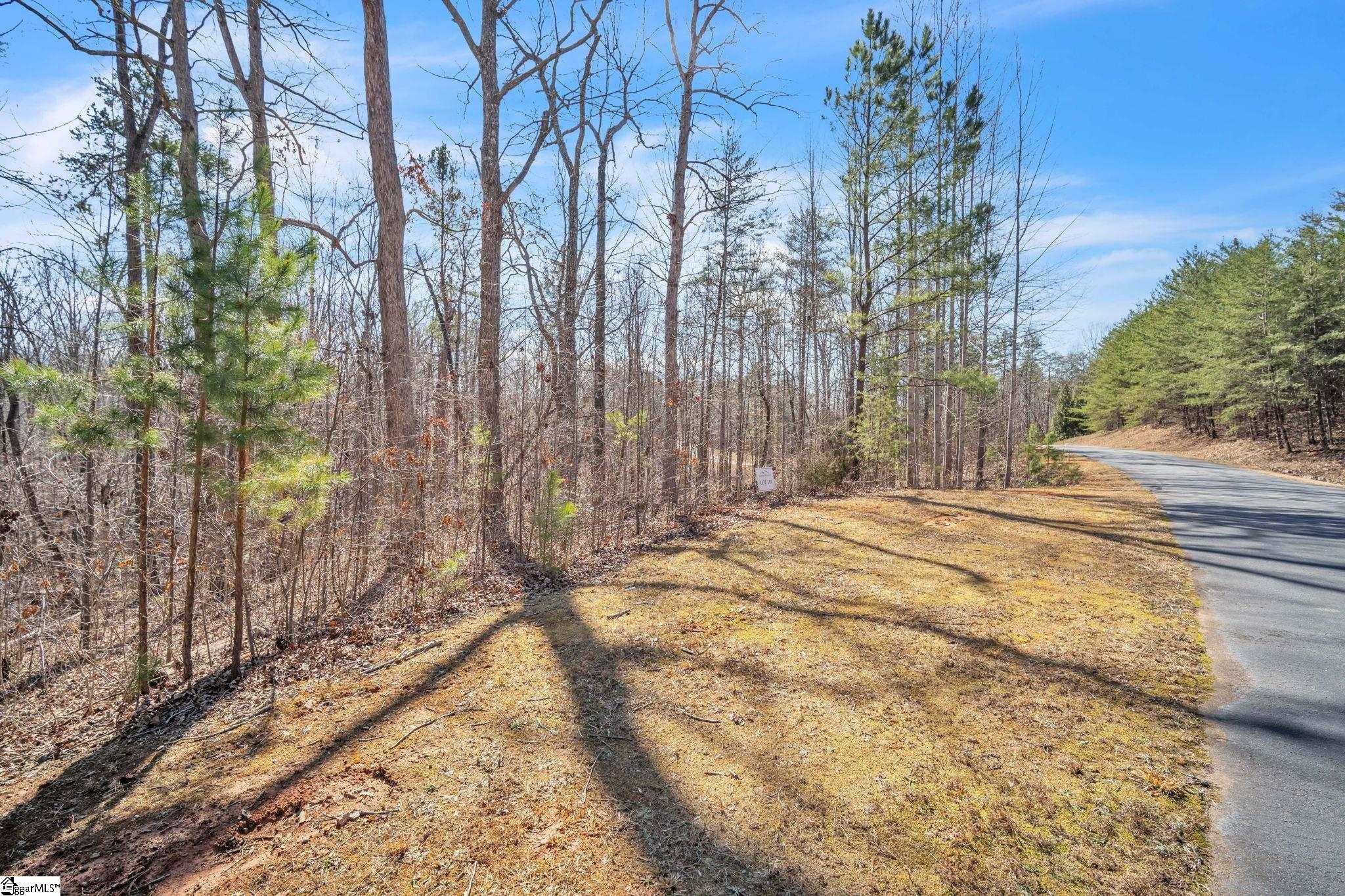 110 Gabriel, Pickens, South Carolina image 2