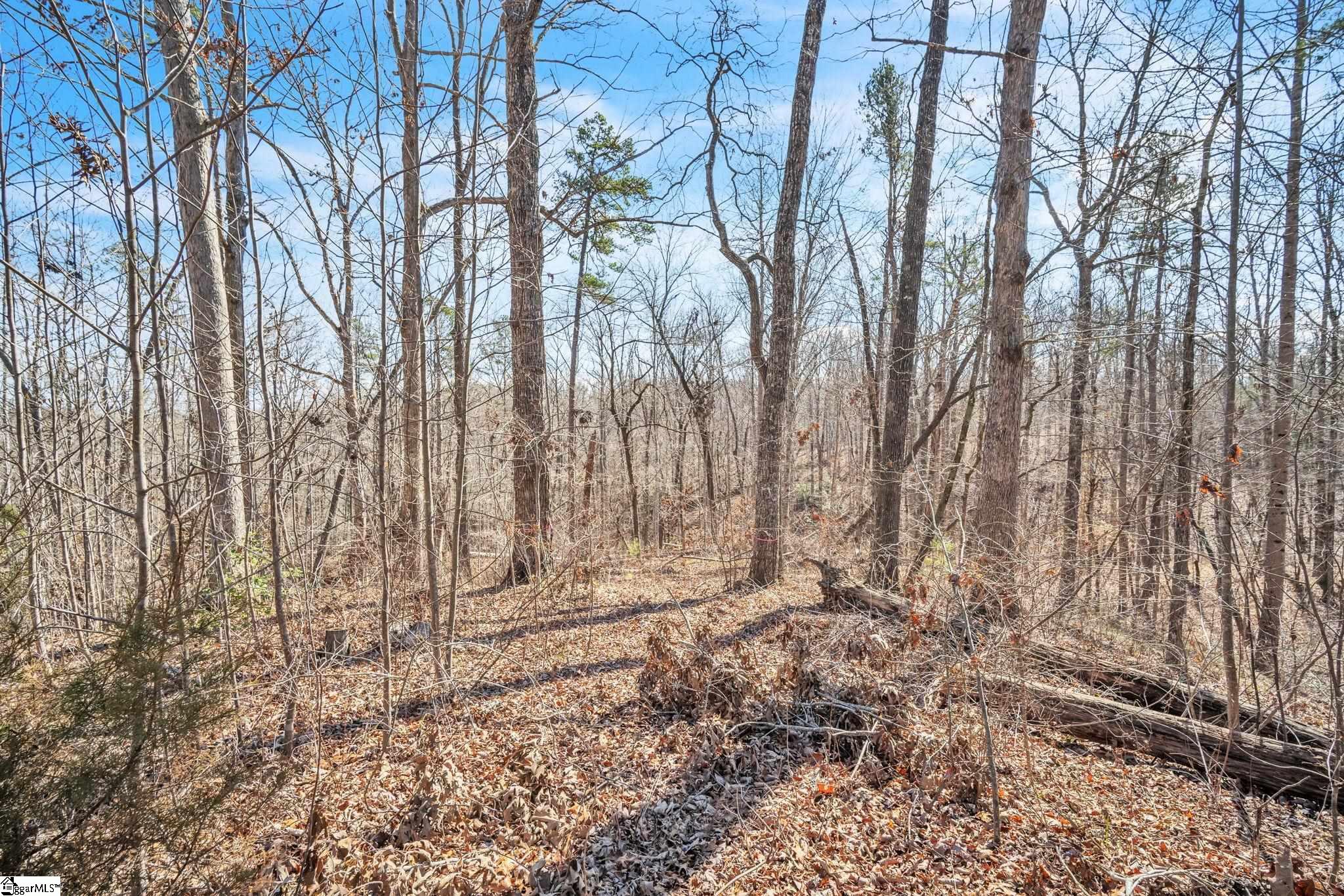 110 Gabriel, Pickens, South Carolina image 3