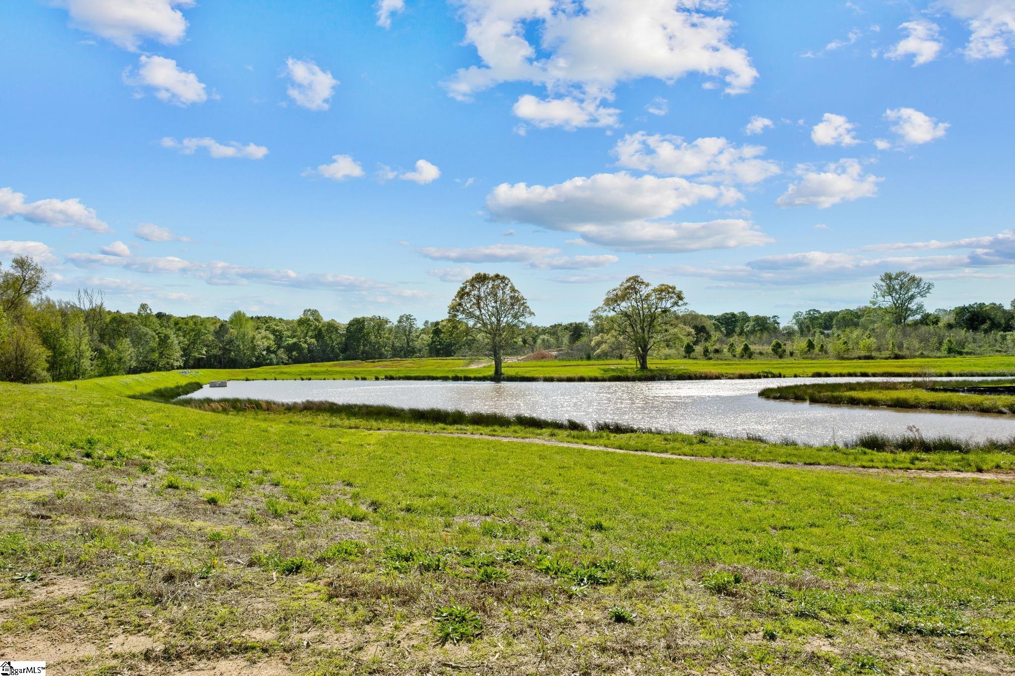 26 Needham, Simpsonville, South Carolina image 34