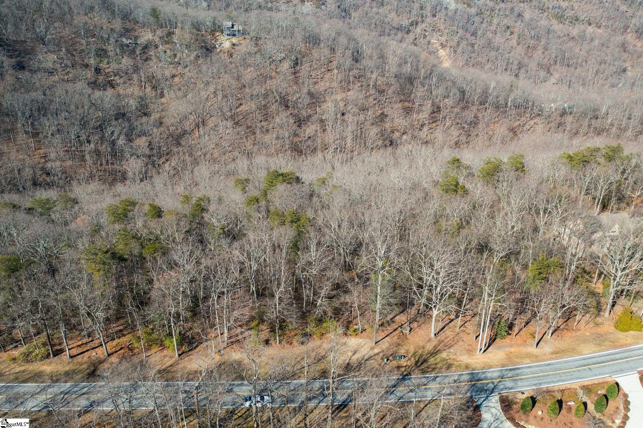 622 Plumley Summit, Landrum, South Carolina image 3