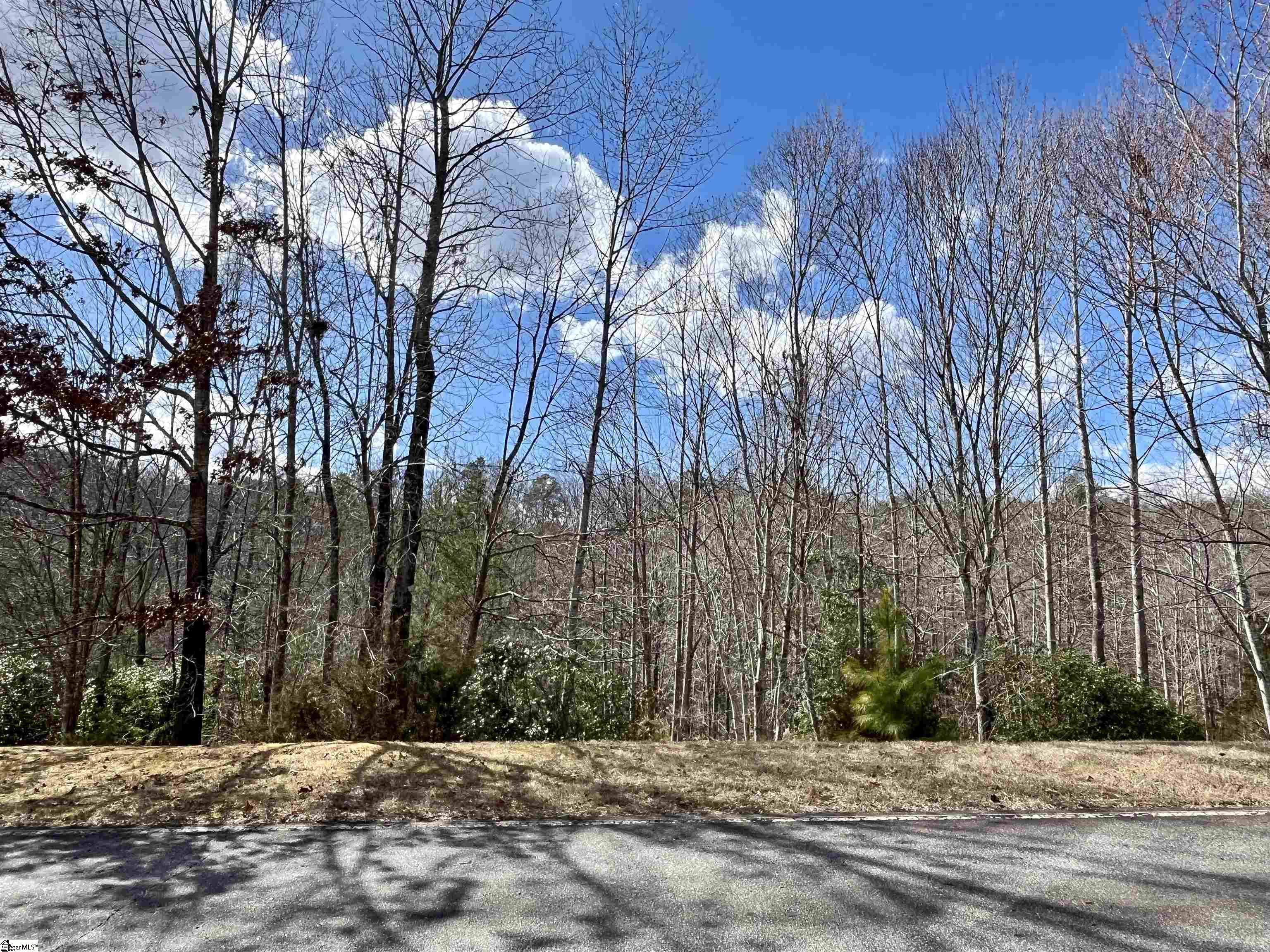 760 Blue Bonnet, Marietta, South Carolina image 3
