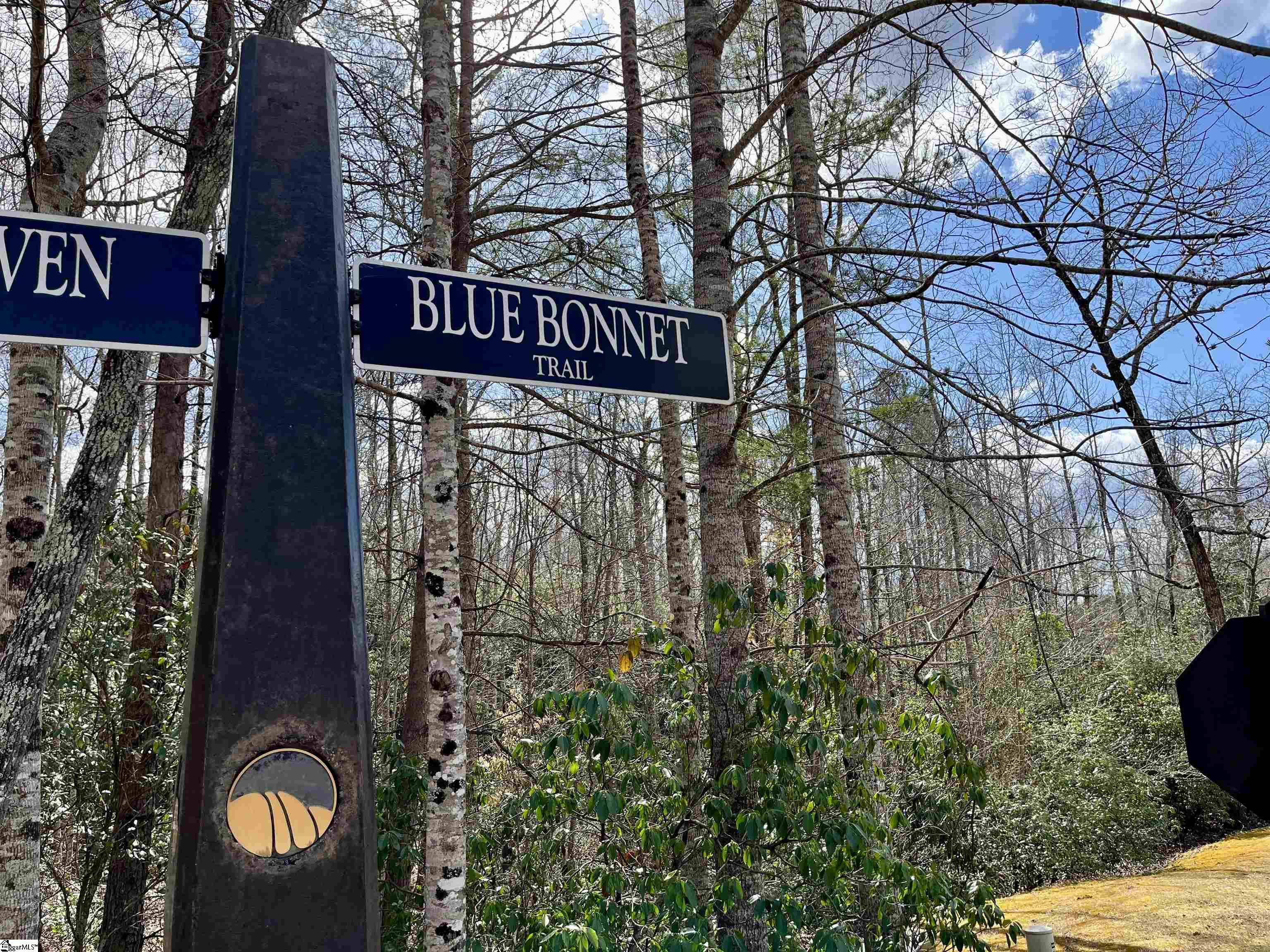 760 Blue Bonnet, Marietta, South Carolina image 4