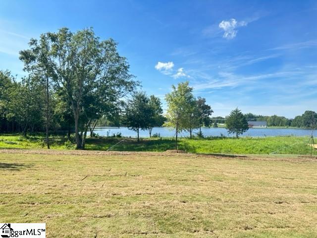 3072 Ambrosia, Duncan, South Carolina image 5