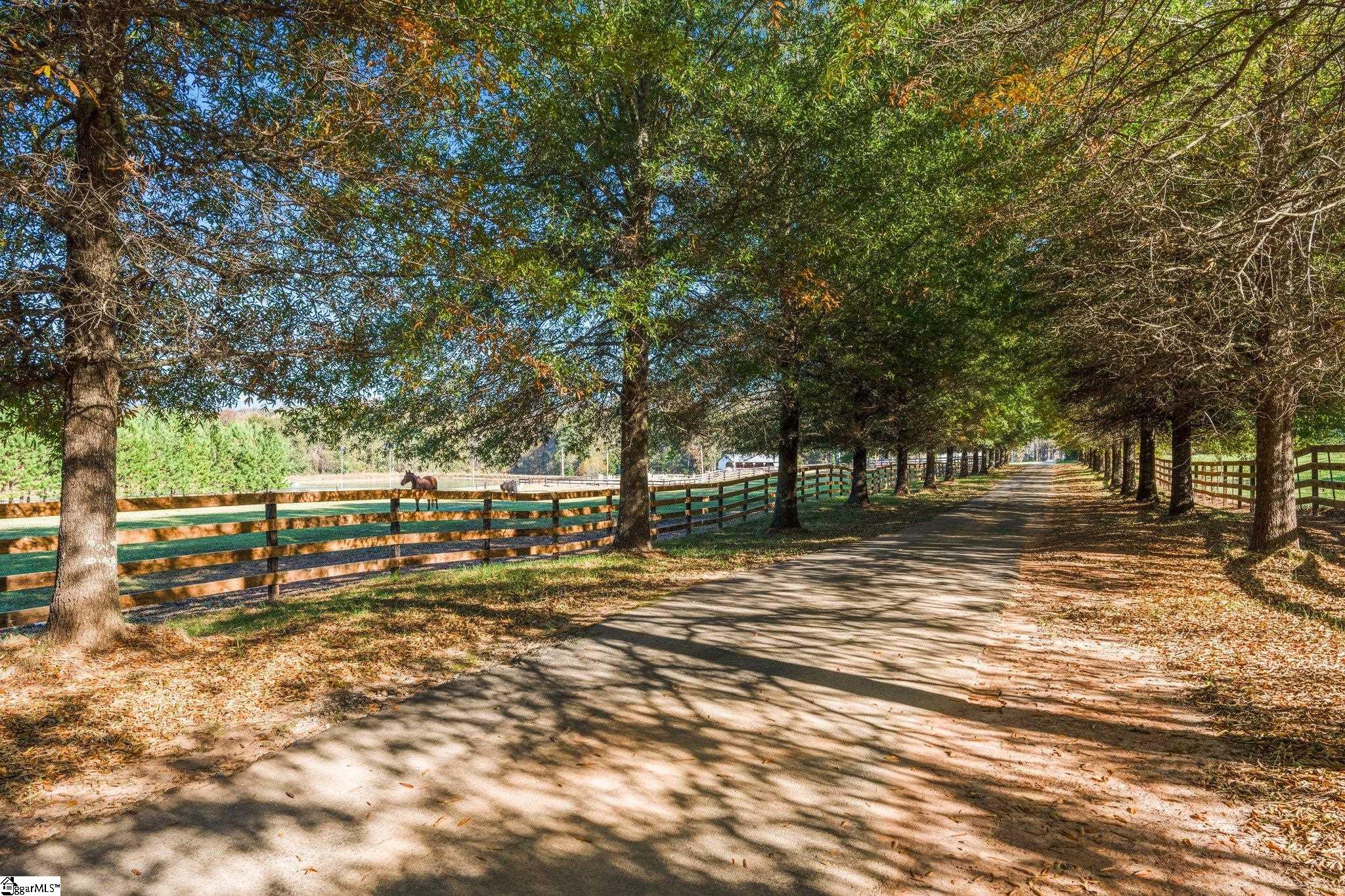 132 Lake, Easley, South Carolina image 11