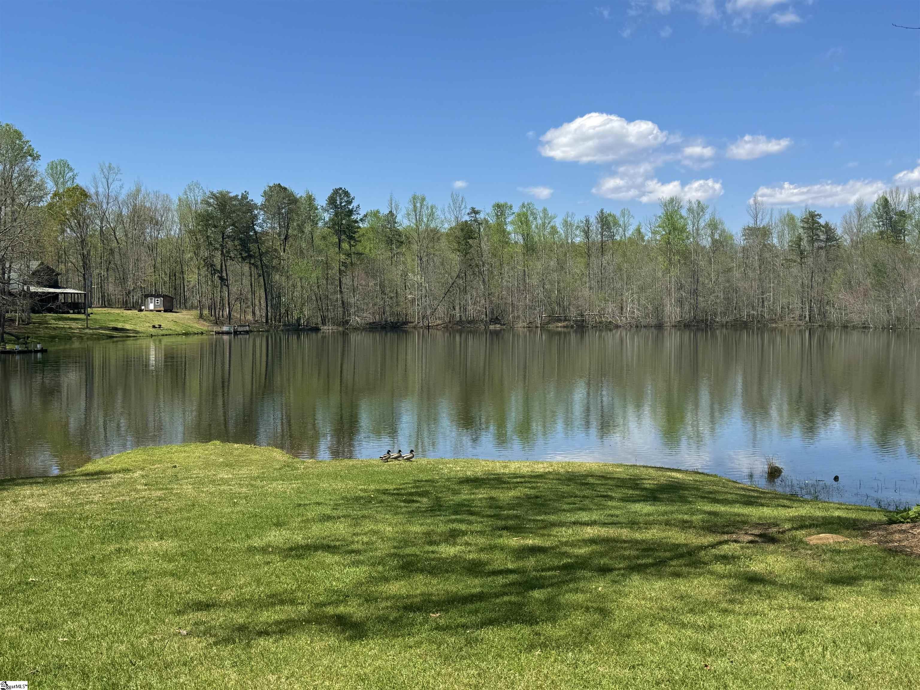 271 Piper, Pickens, South Carolina image 4