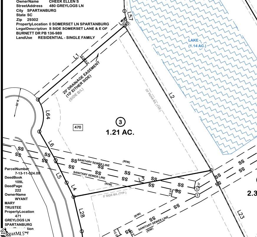 470 Greylogs, Spartanburg, South Carolina image 12