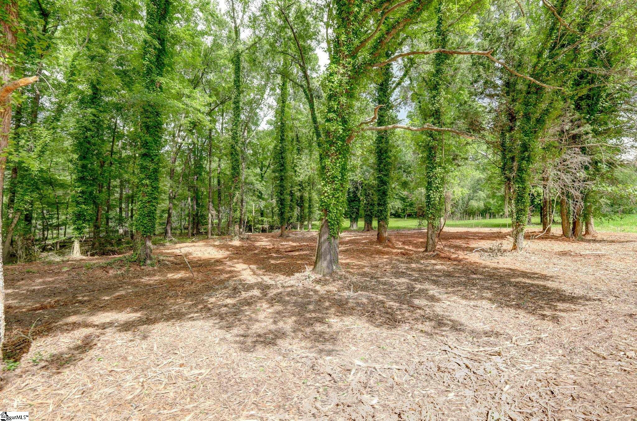 470 Greylogs, Spartanburg, South Carolina image 5