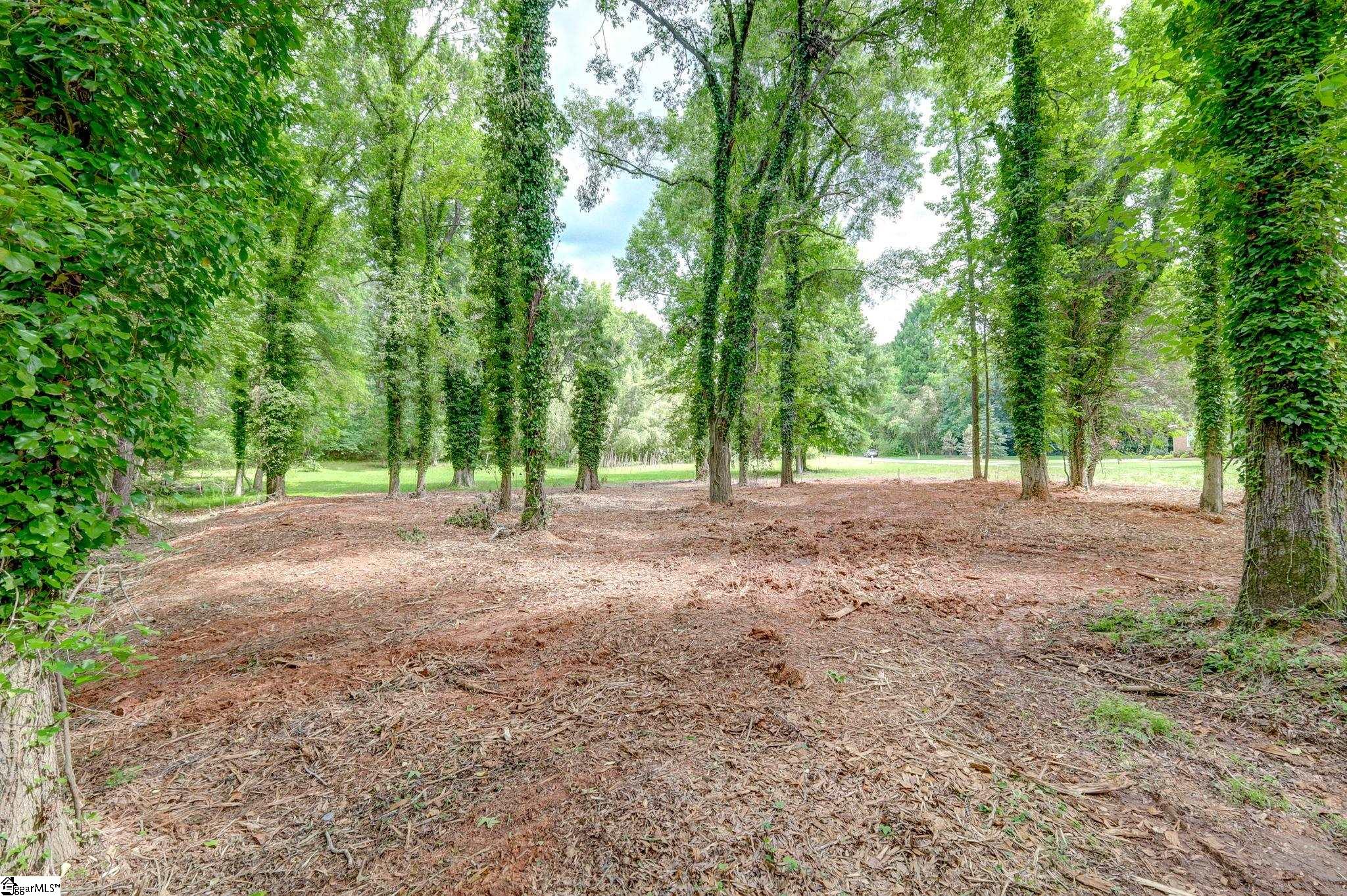 470 Greylogs, Spartanburg, South Carolina image 7