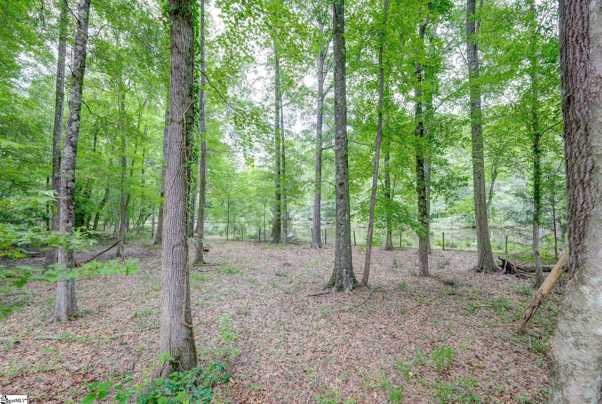 470 Greylogs, Spartanburg, South Carolina image 8