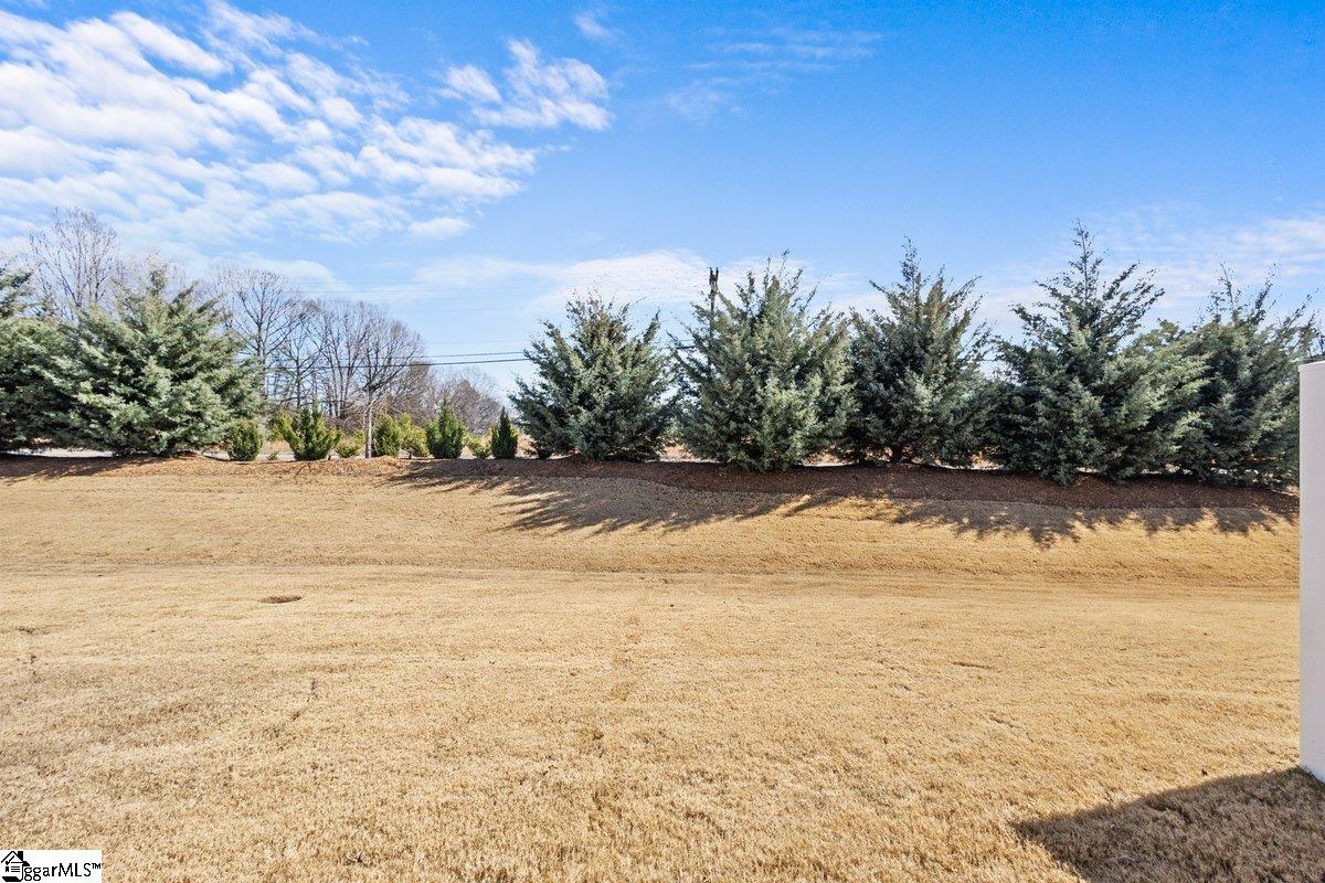 31 Alkanet, Greenville, South Carolina image 22