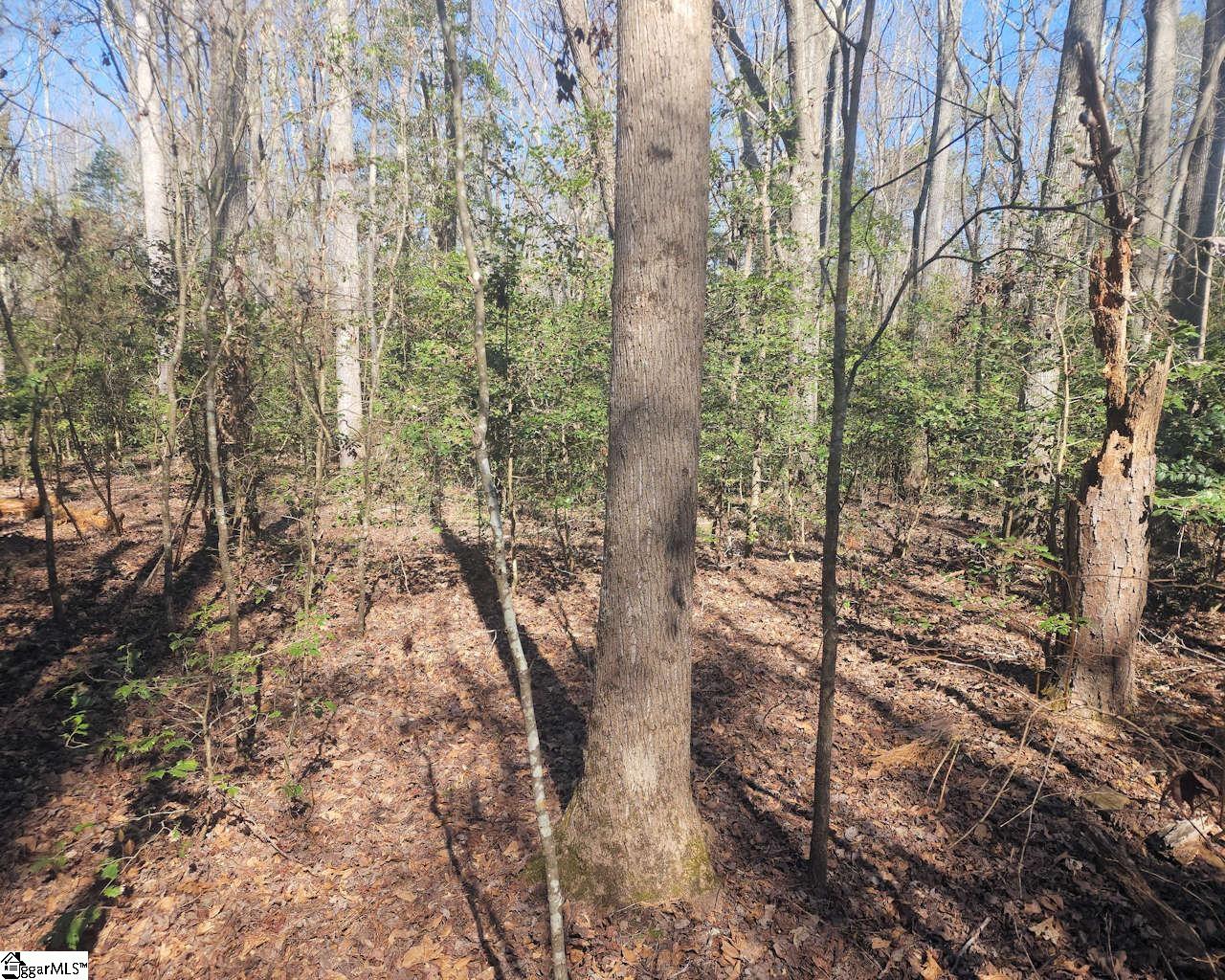 Corner, Belton, South Carolina image 14
