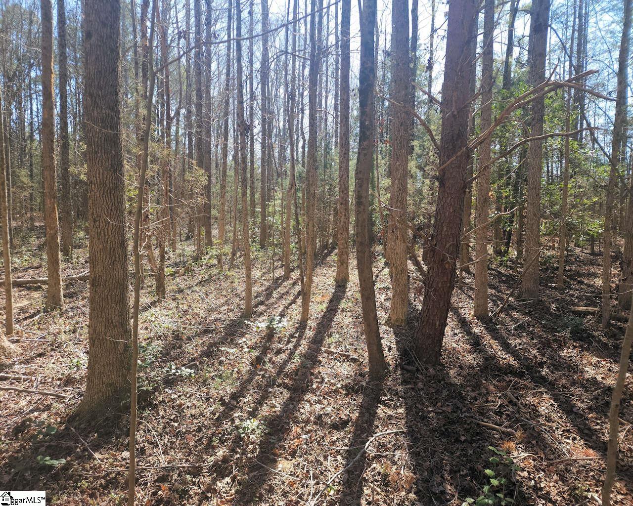 Corner, Belton, South Carolina image 16