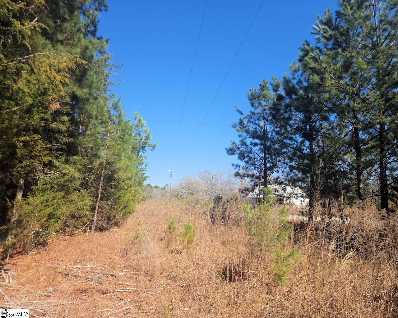 Corner, Belton, South Carolina image 17