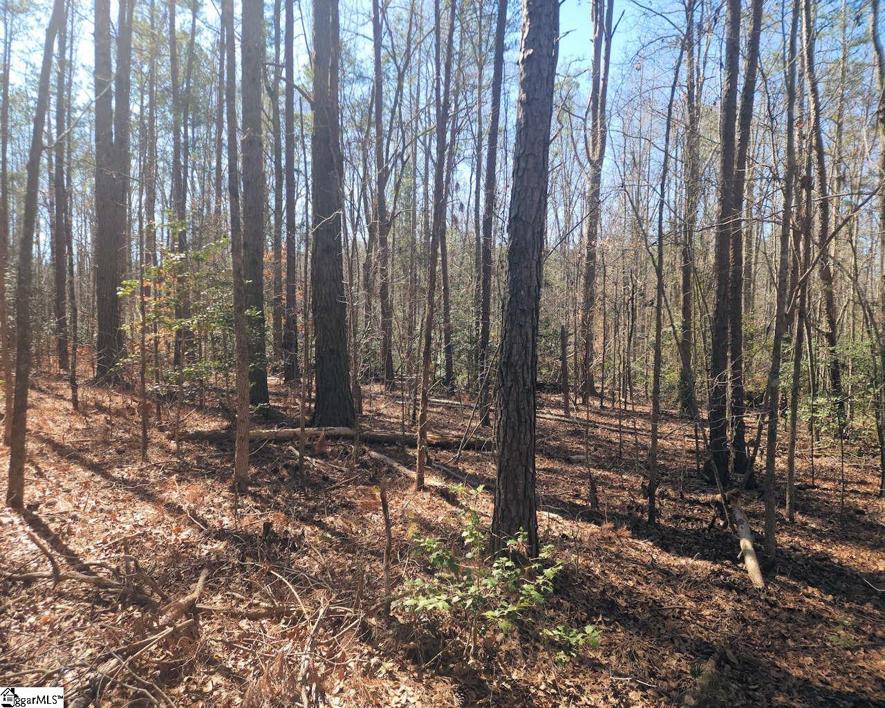 Corner, Belton, South Carolina image 7