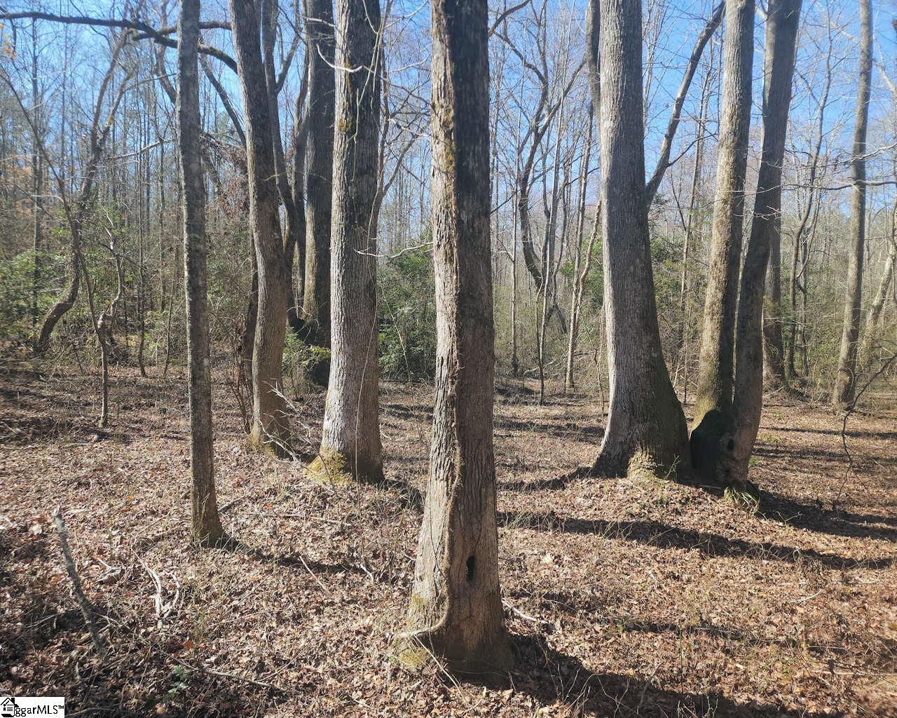 Corner, Belton, South Carolina image 9