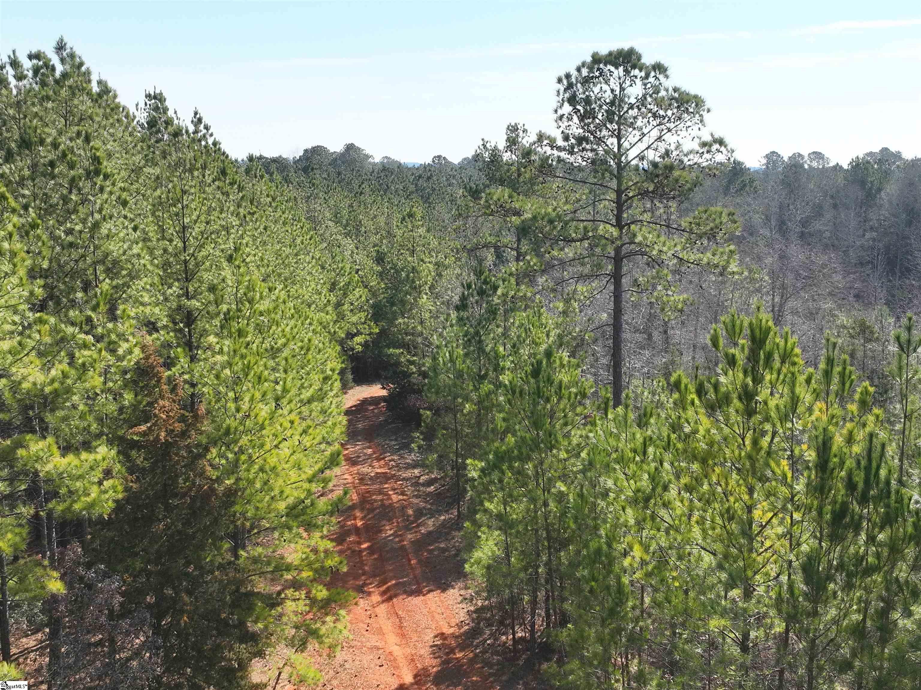 2301 Whitetown, McCormick, South Carolina image 2