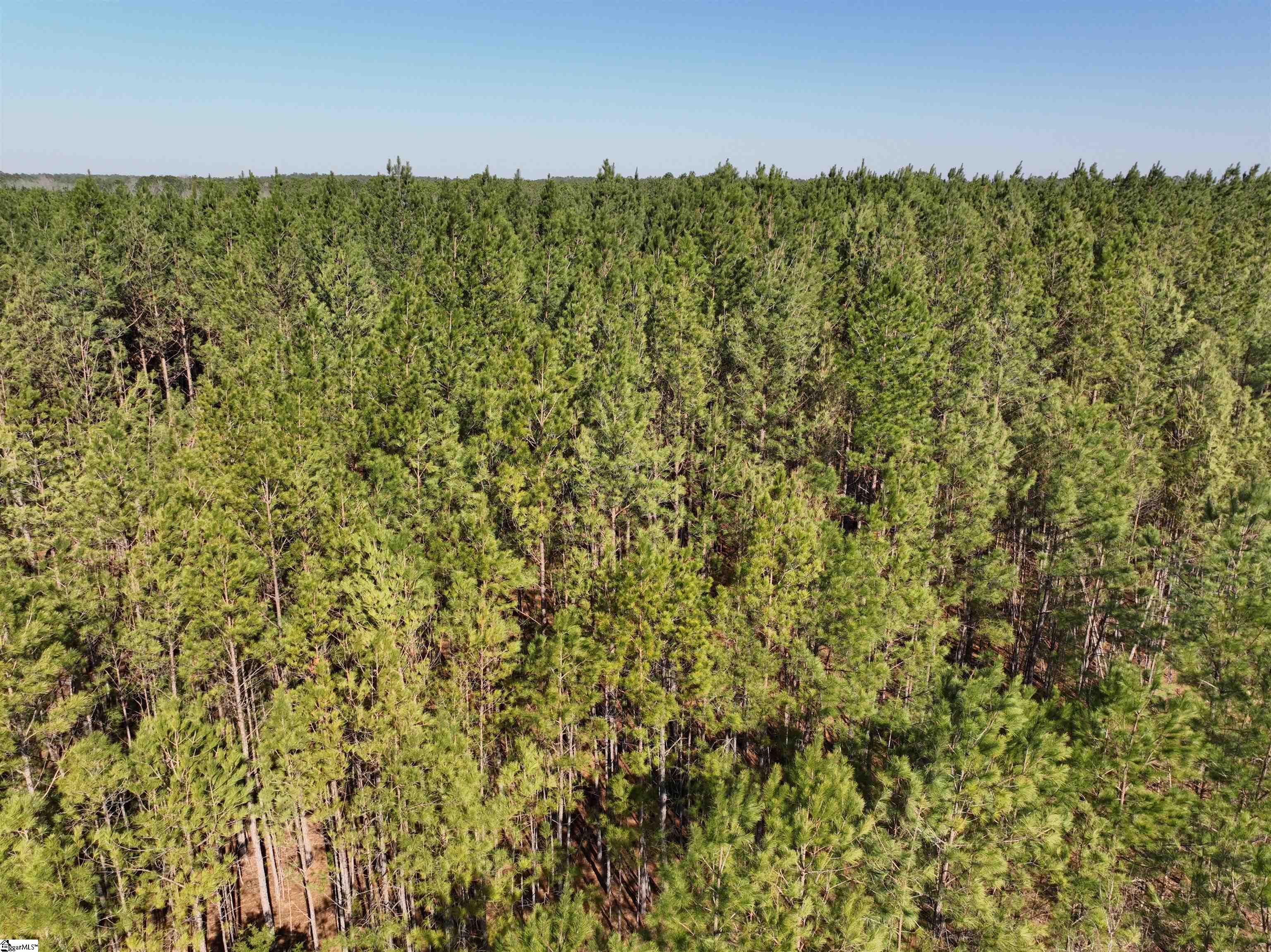2301 Whitetown, McCormick, South Carolina image 14