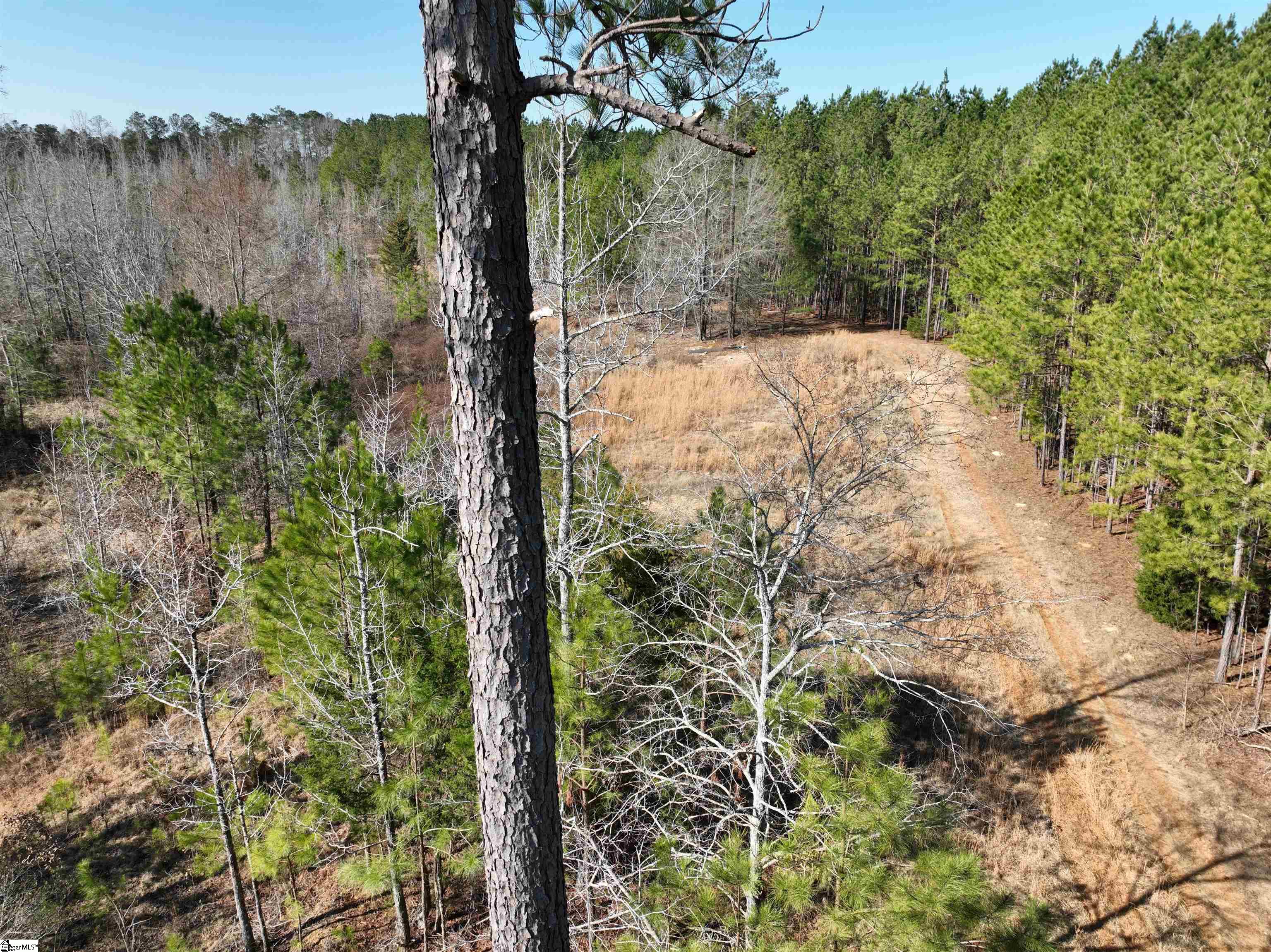 2301 Whitetown, McCormick, South Carolina image 16