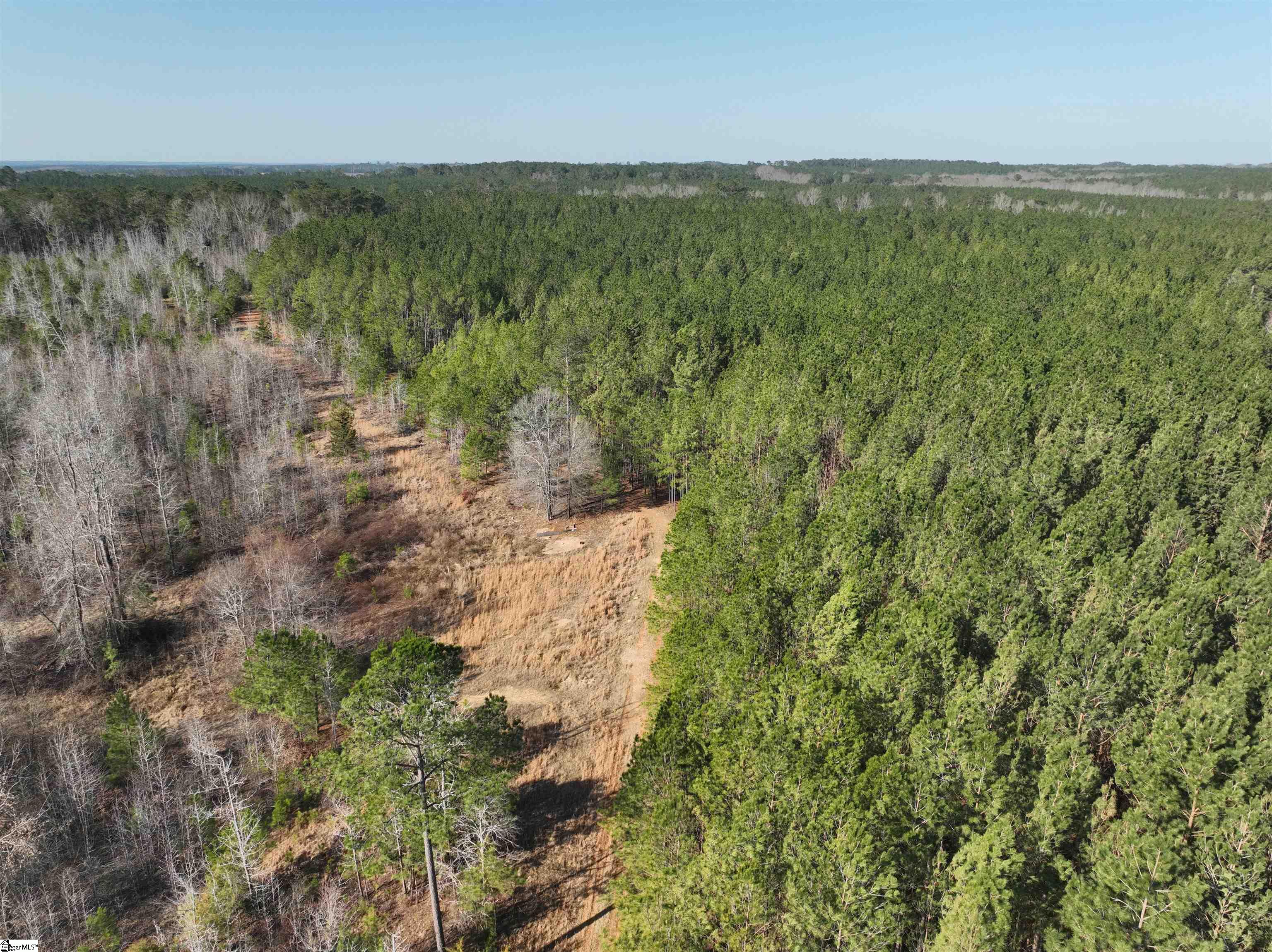 2301 Whitetown, McCormick, South Carolina image 3