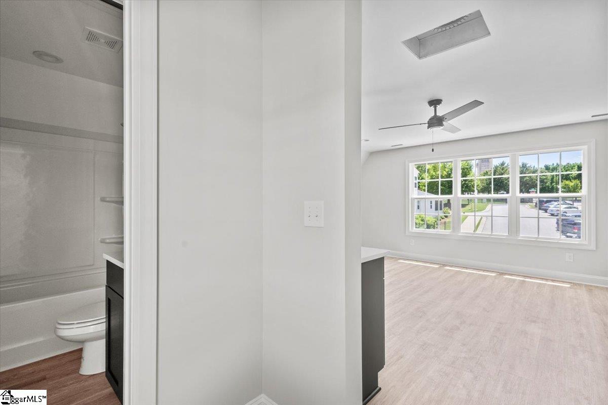 250 Morgan Silver, Spartanburg, South Carolina image 19