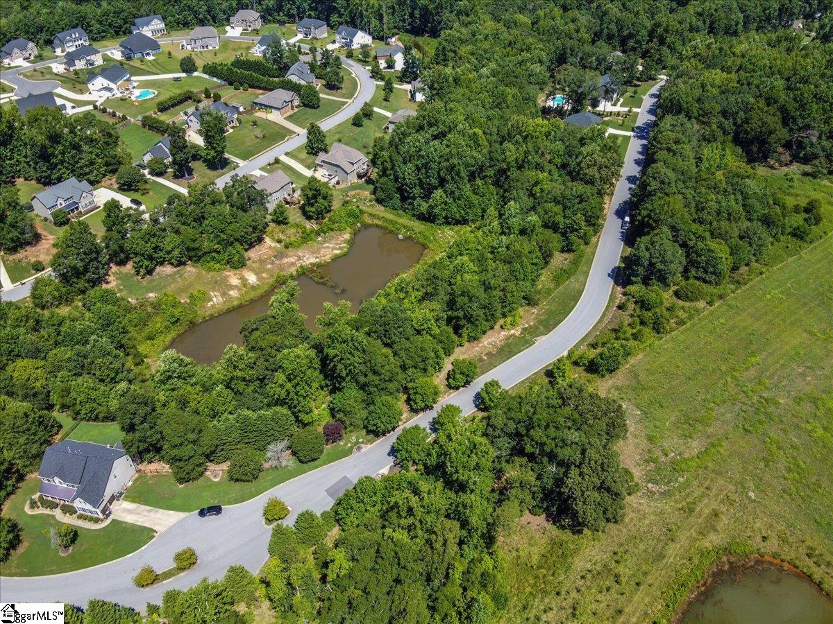 20 Modesto, Simpsonville, South Carolina image 5