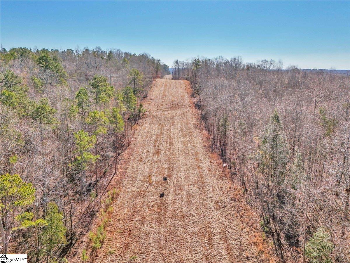 00 Long Branch, Enoree, South Carolina image 6