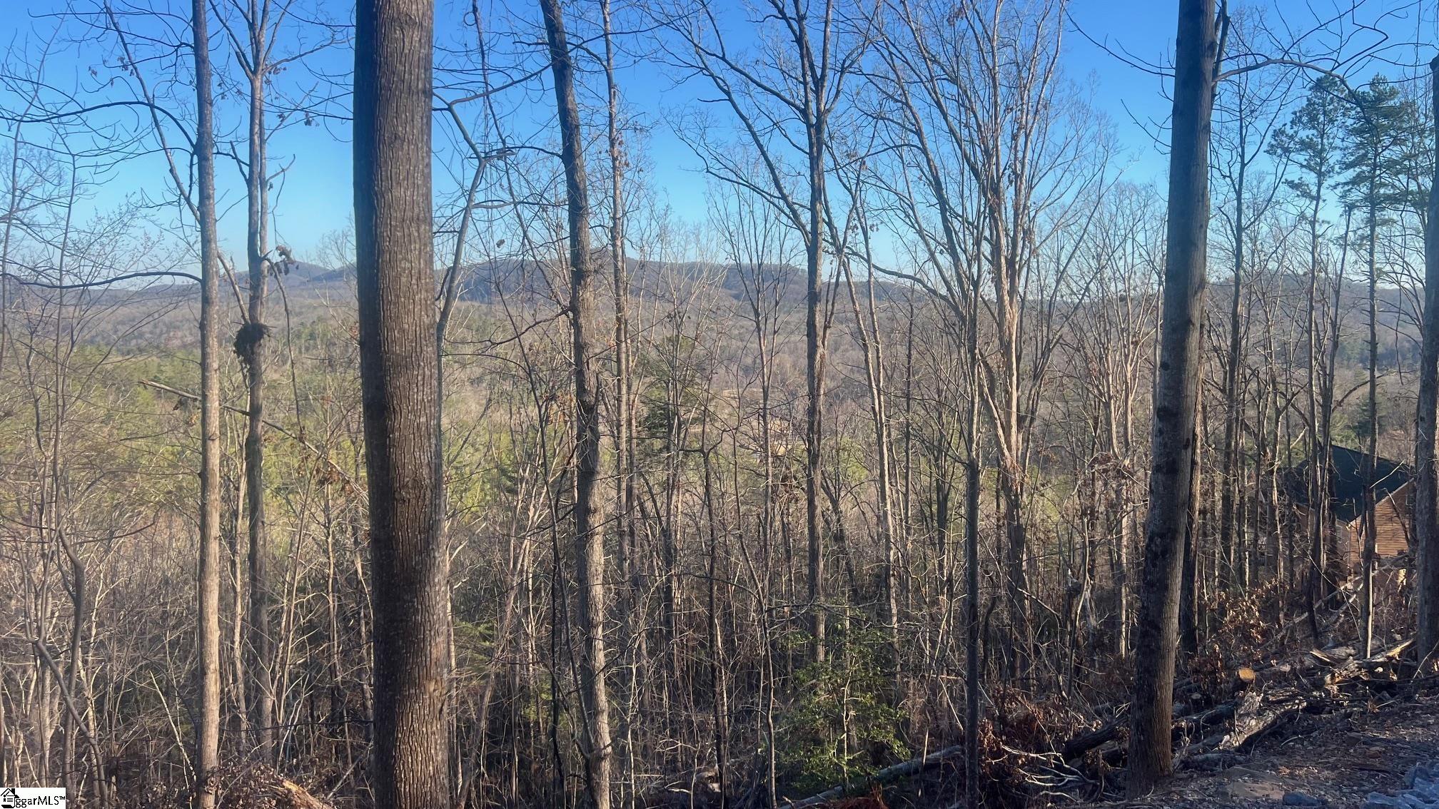 109 Stone Creek, Pickens, South Carolina image 3