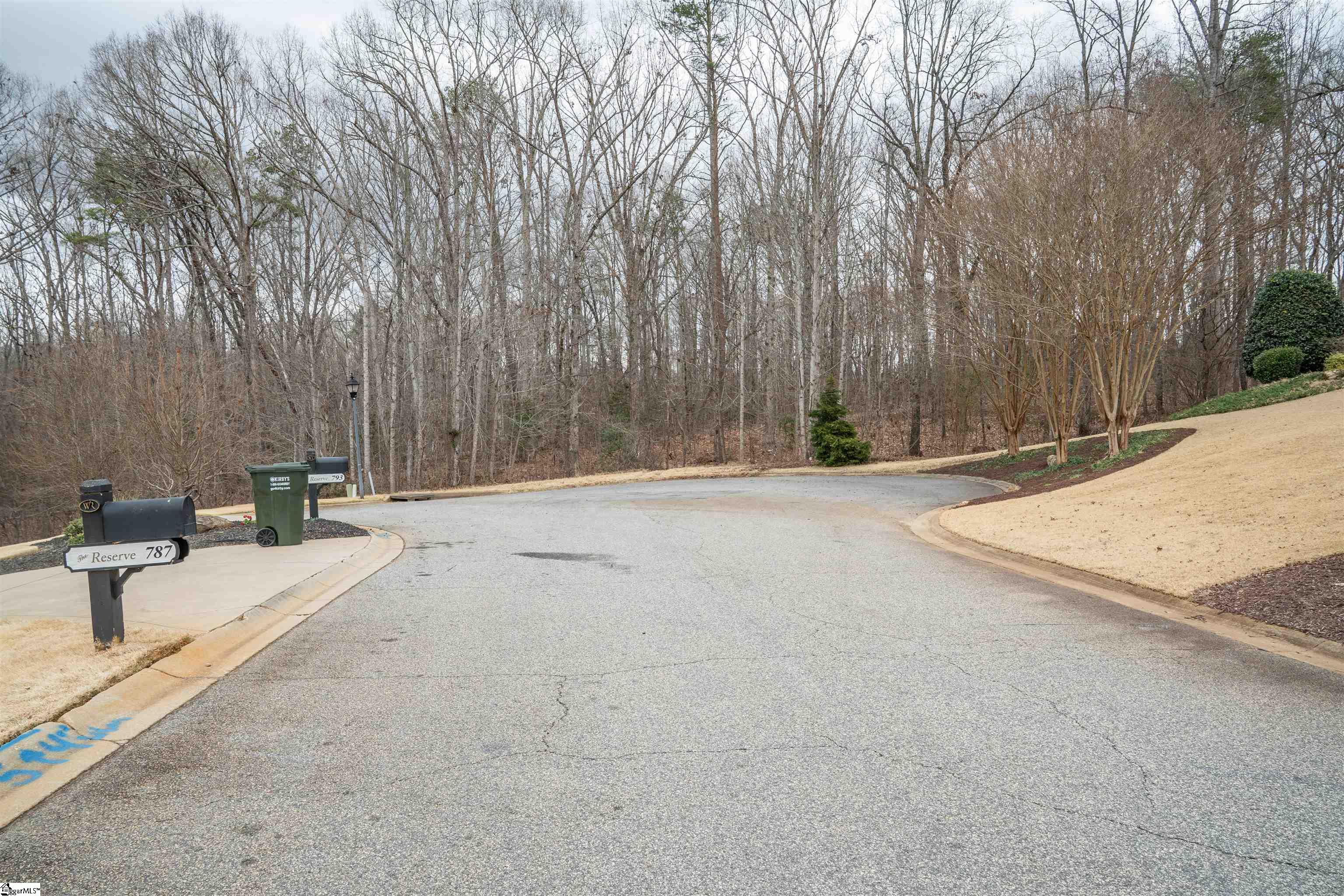 799 E Long Bay, Inman, South Carolina image 2
