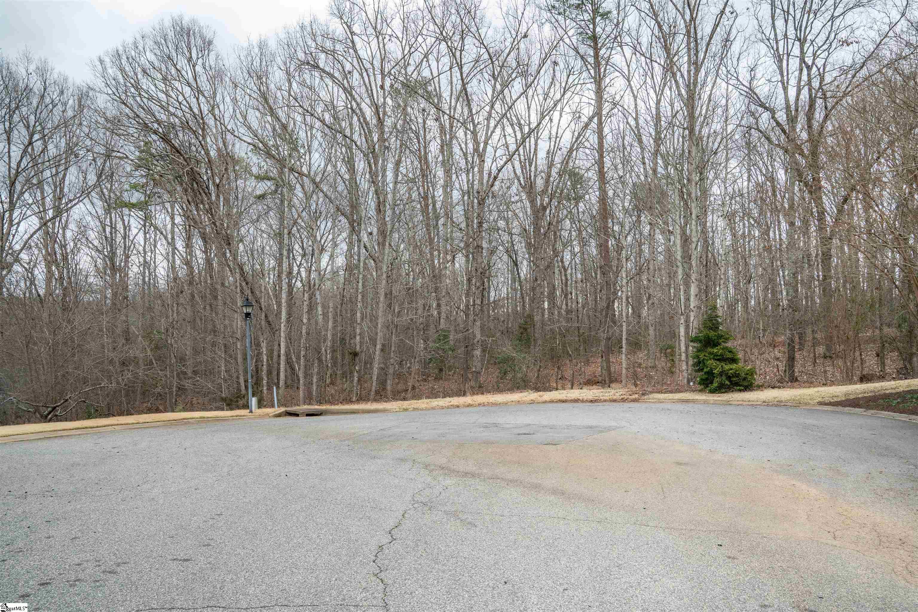 799 E Long Bay, Inman, South Carolina image 3