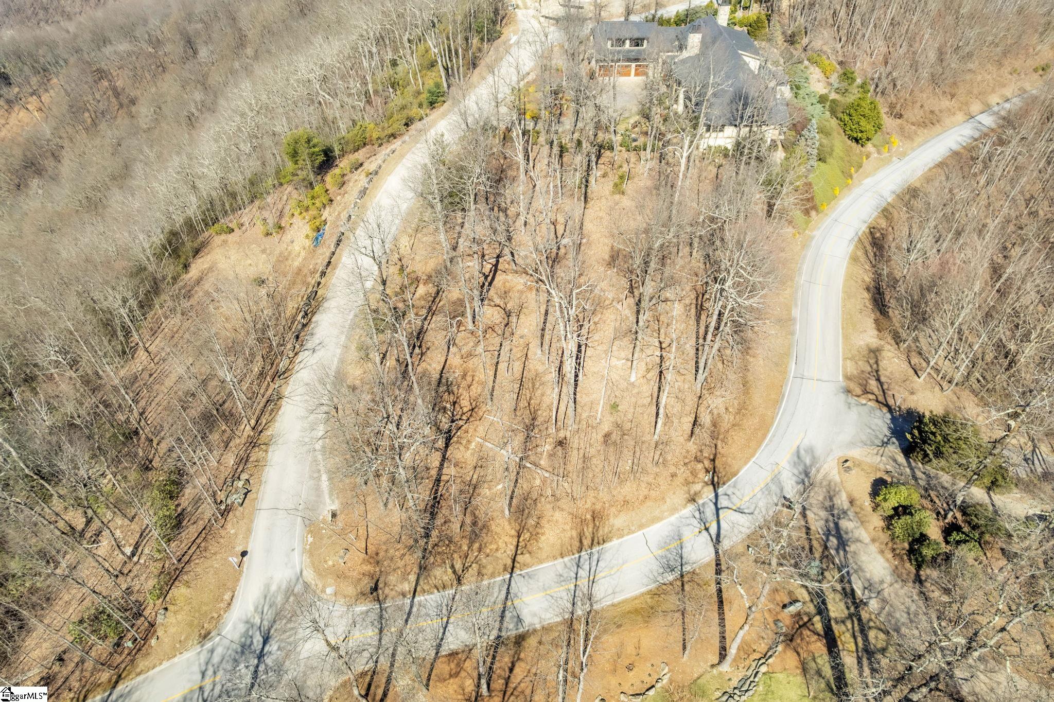 Panther Mountain, Travelers Rest, South Carolina image 1