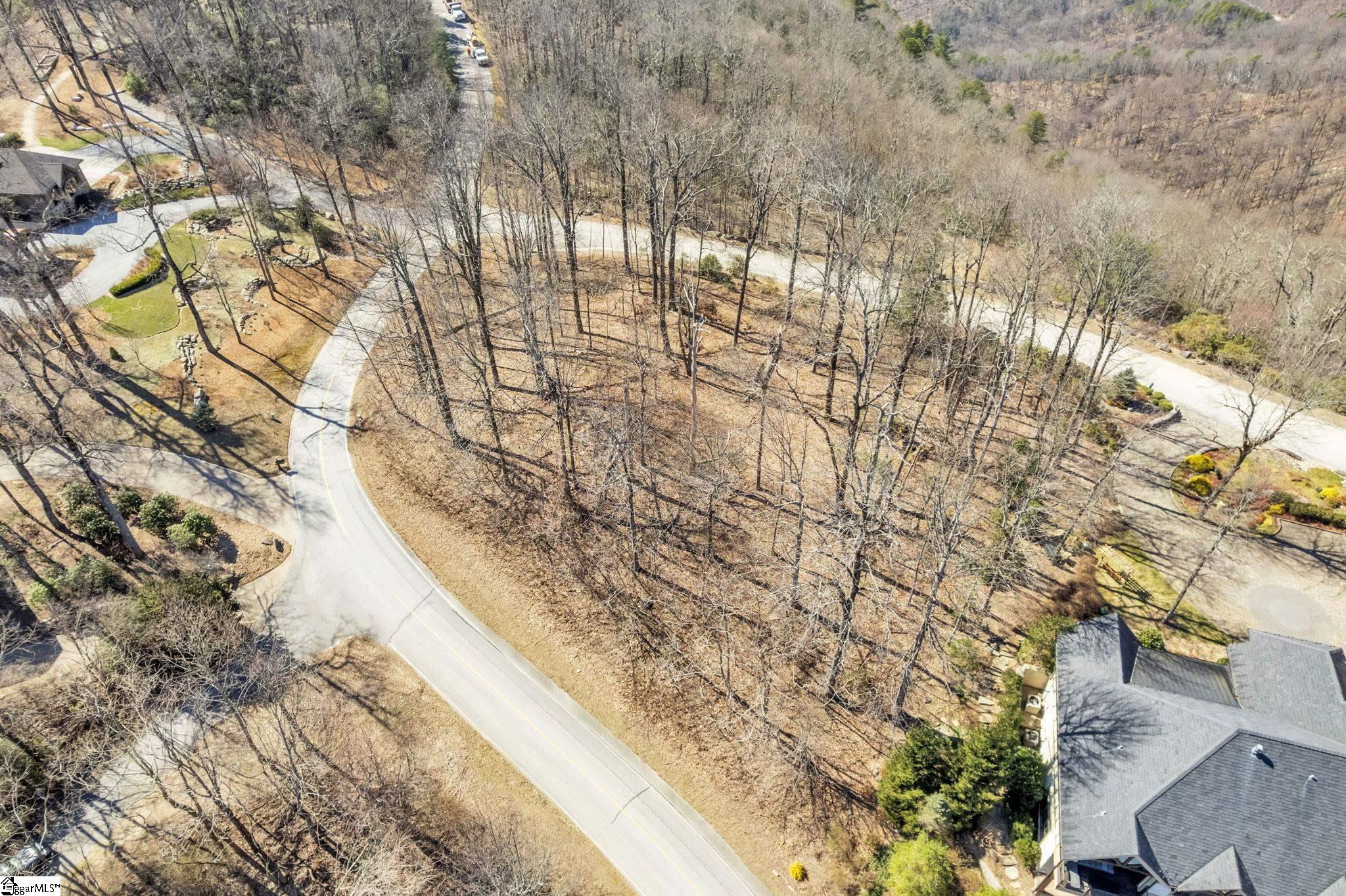 Panther Mountain, Travelers Rest, South Carolina image 3