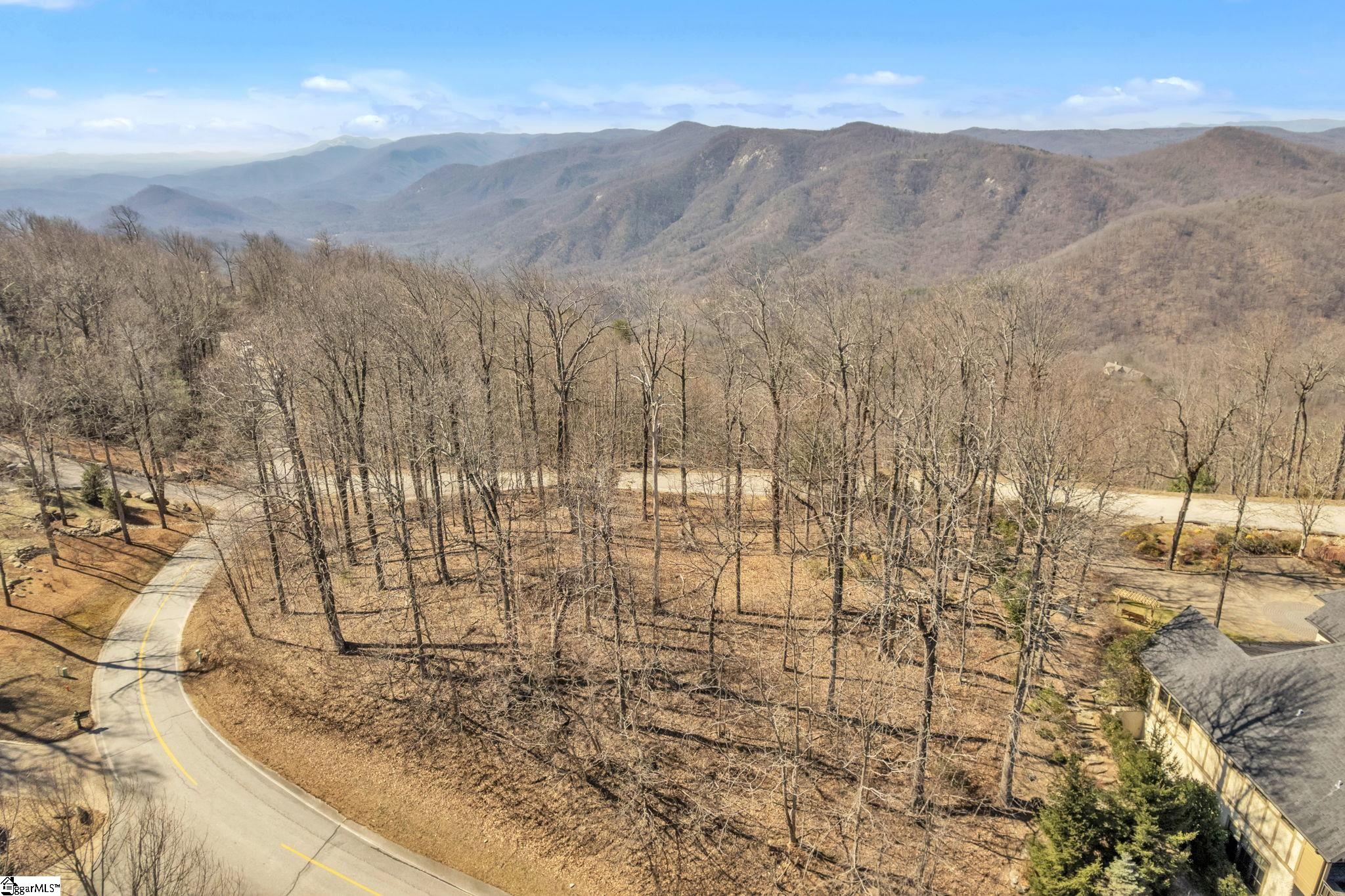 Panther Mountain, Travelers Rest, South Carolina image 7