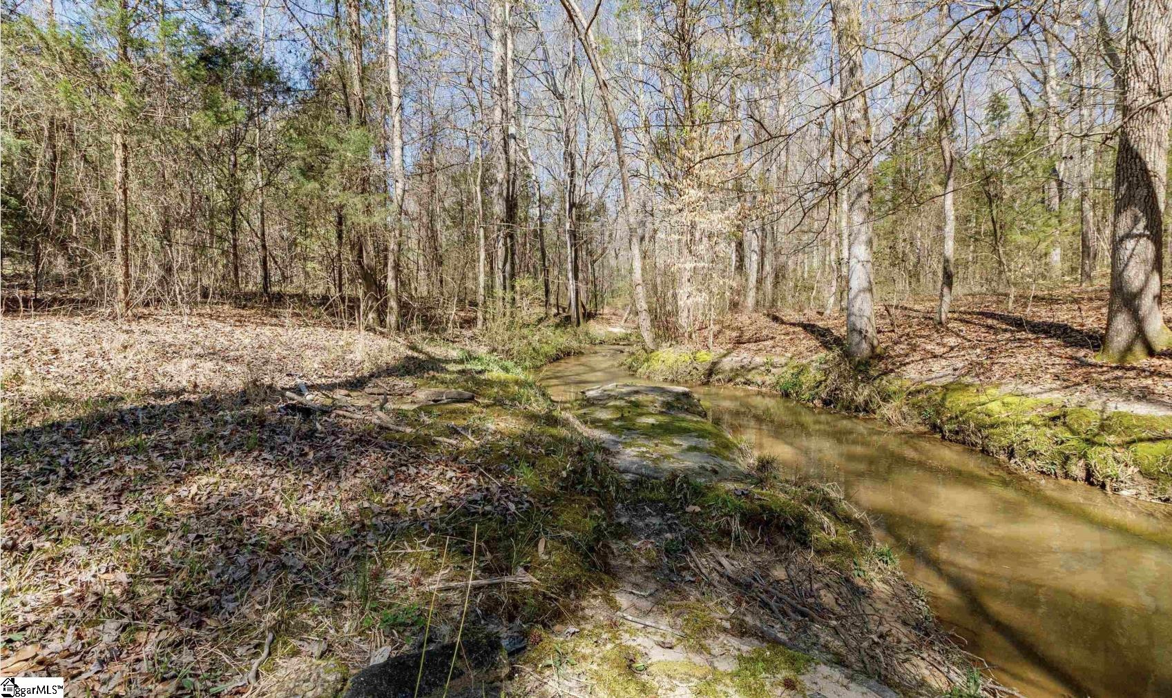 430 Wilson Bridge, Simpsonville, South Carolina image 3
