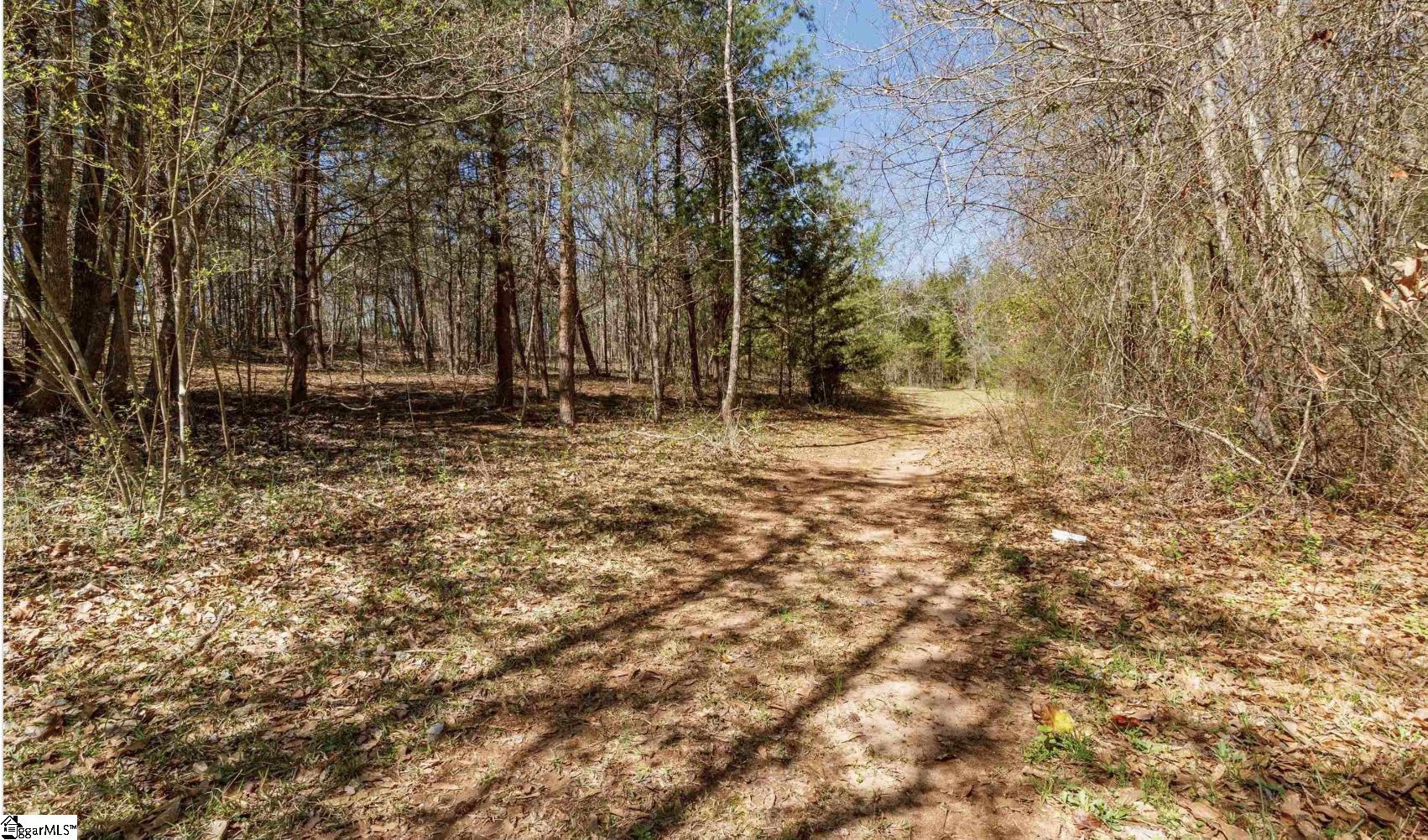 430 Wilson Bridge, Simpsonville, South Carolina image 4