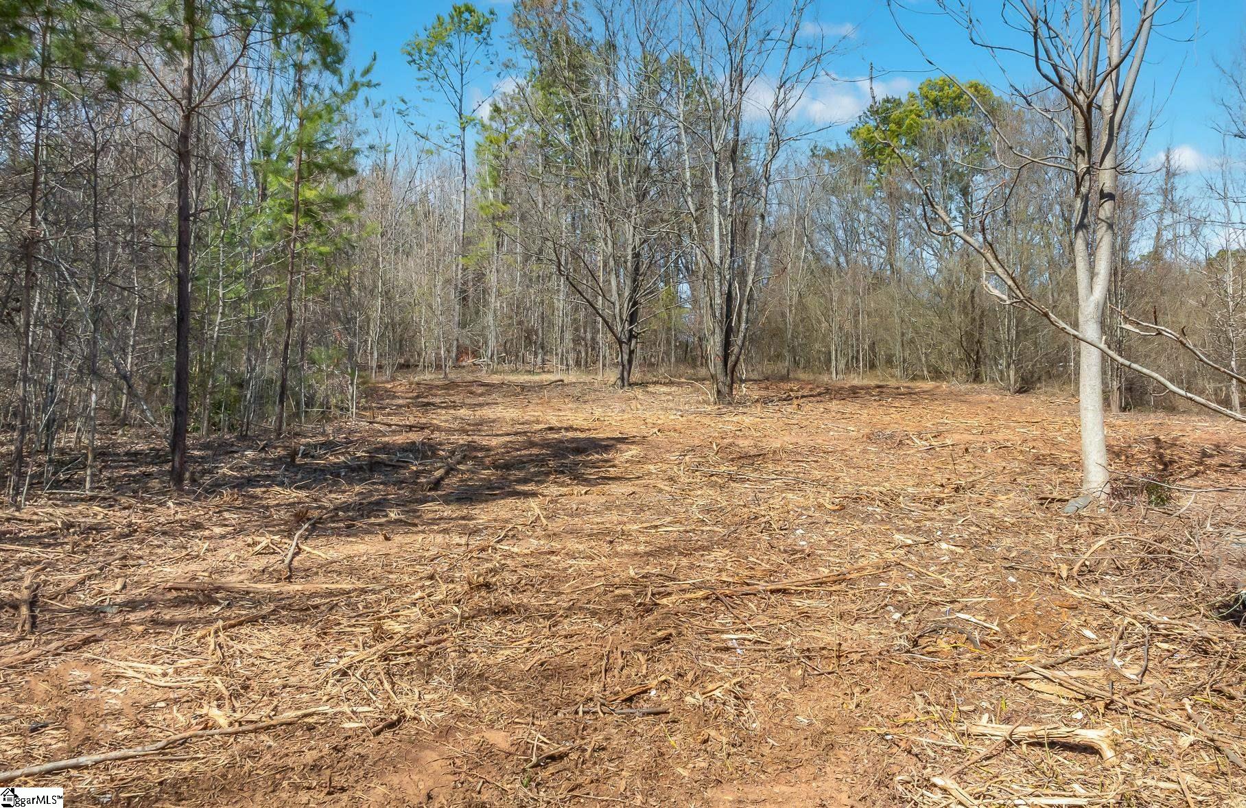 00 W Tyger Bridge Road Taylors, SC 29687